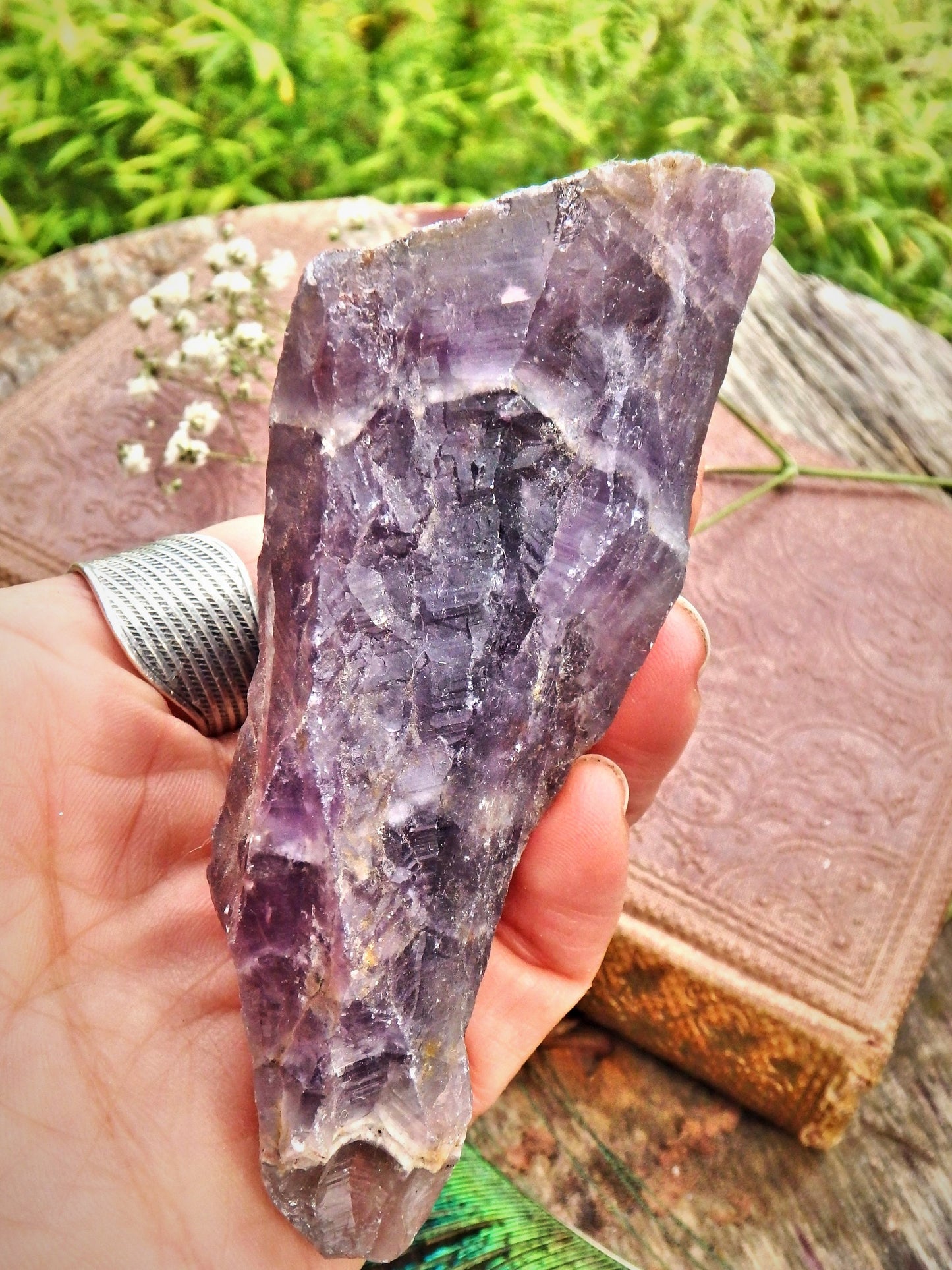 High Vibration Genuine Auralite-23 Point From Ontario, Canada 5 - Earth Family Crystals