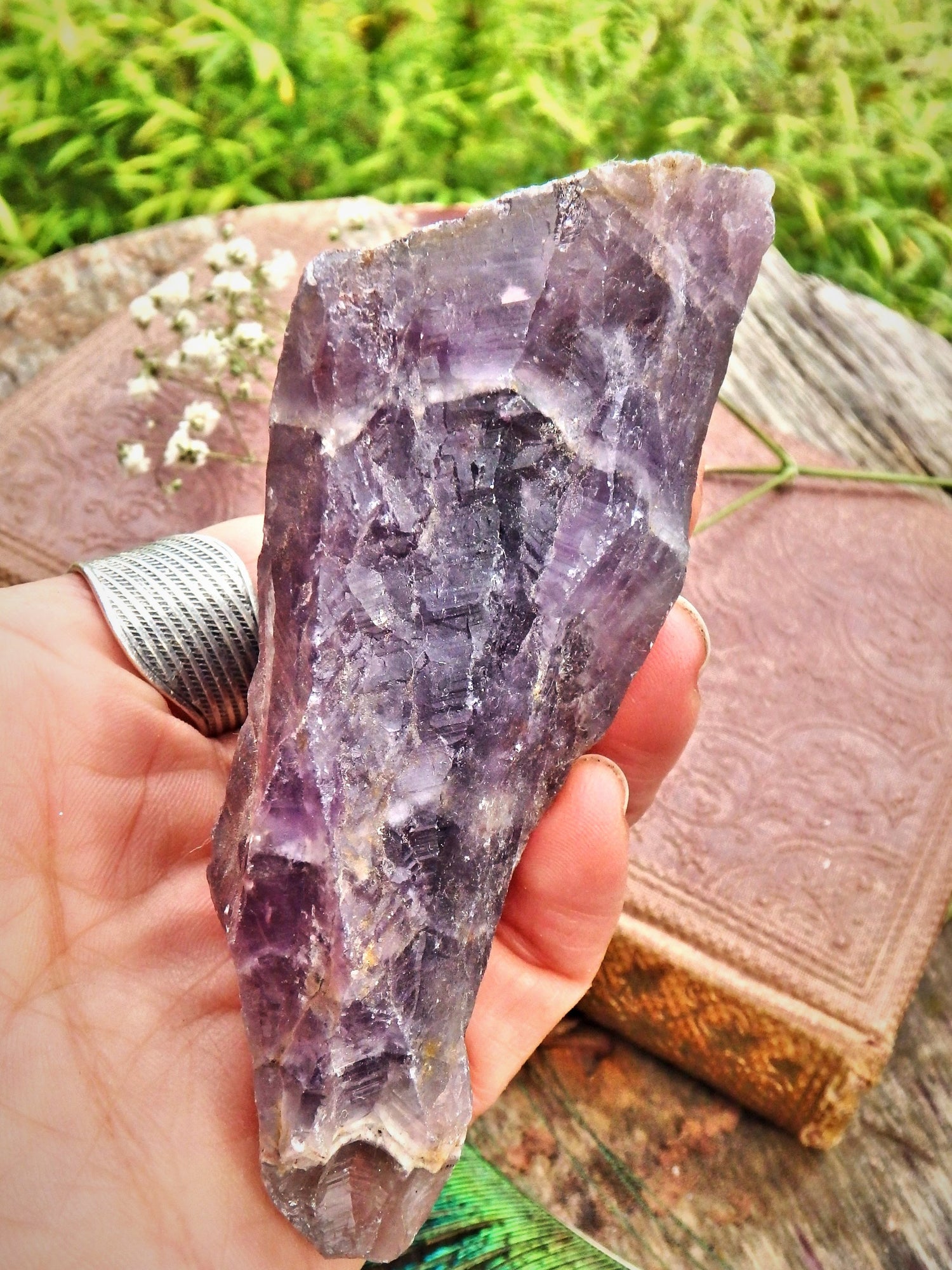 High Vibration Genuine Auralite-23 Point From Ontario, Canada 5 - Earth Family Crystals