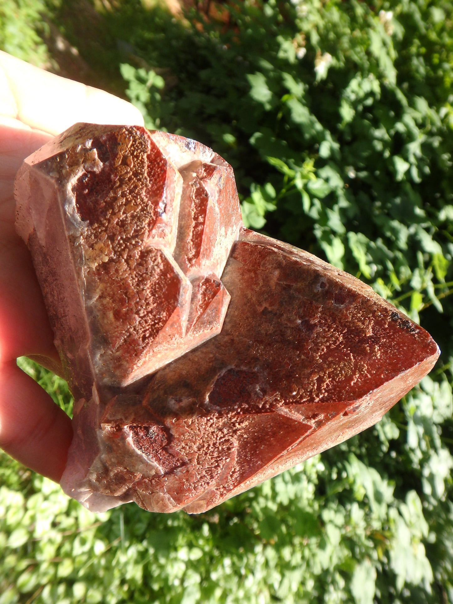 Incredible Red Mountain Large Auralite-23 Reiki Stone Standing Specimen With Record Keepers From Canada - Metiz Tier Price