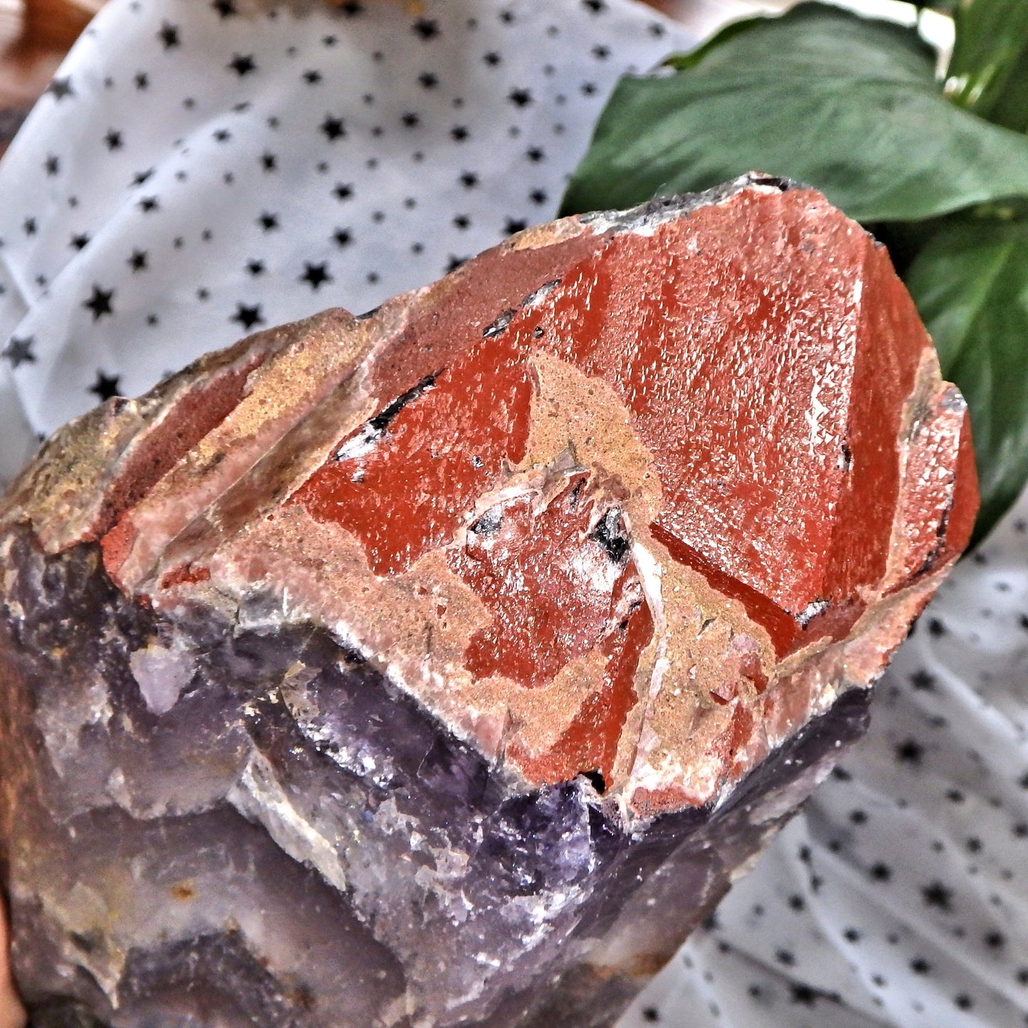 Incredible XXL Red Hematite & Quartz Druzy Crusted Tipped  Auralite-23 Point With Record Keepers From Ontario  Canada