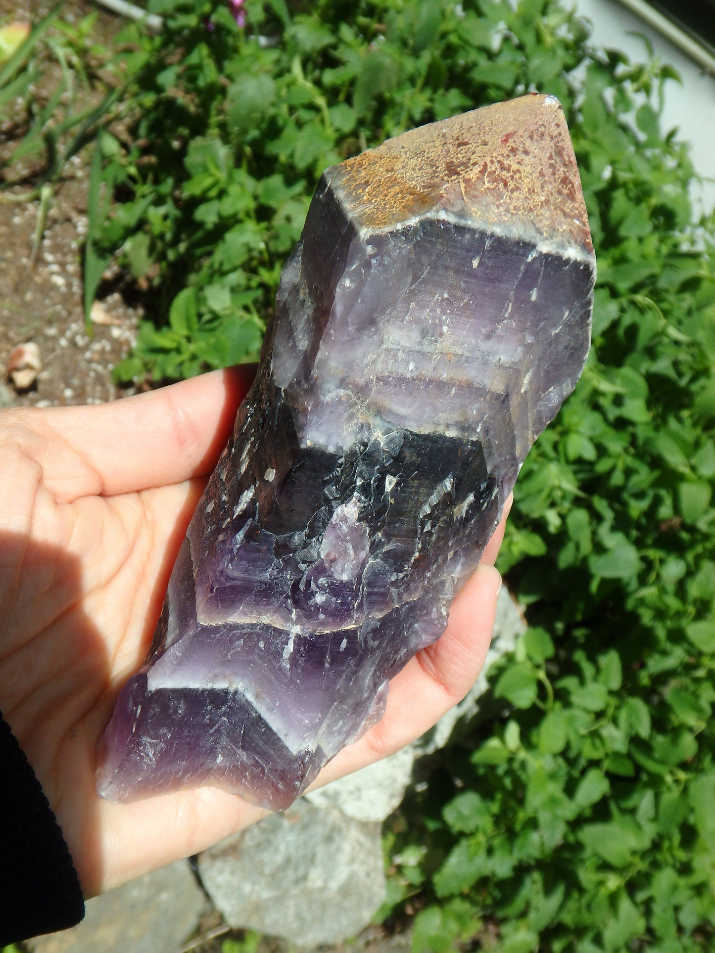  Deep Grape Purple & Record Keeper Hematite Tip Large Auralite-23 Point From Canada
