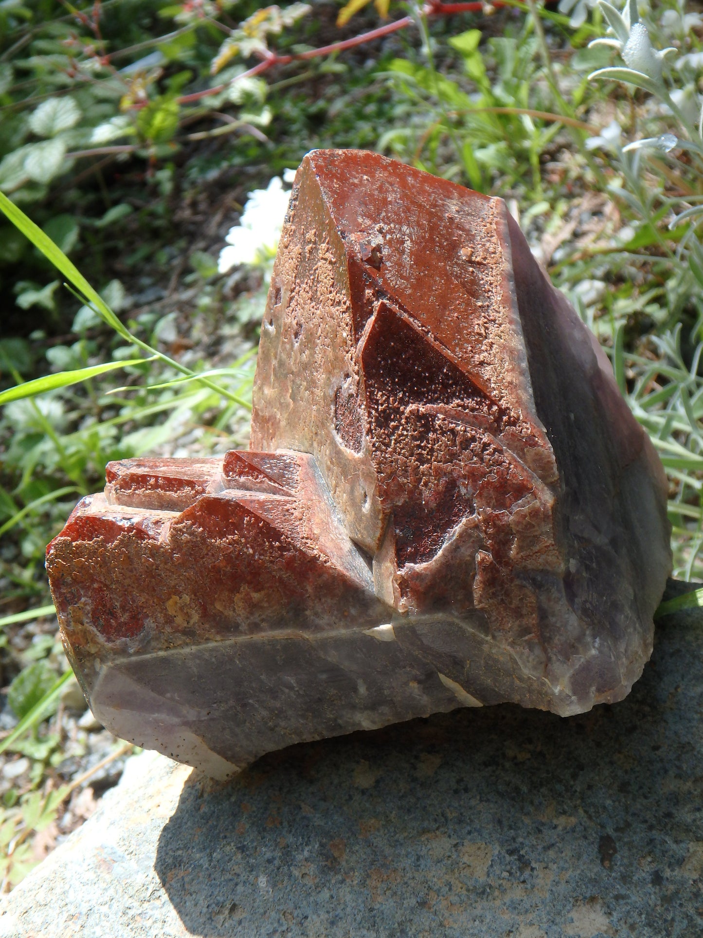 Incredible Red Mountain Large Auralite-23 Reiki Stone Standing Specimen With Record Keepers From Canada - Metiz Tier Price