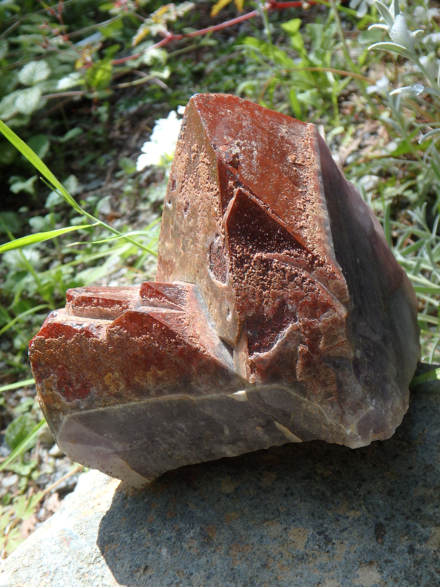 Incredible Red Mountain Large Auralite-23 Reiki Stone Standing Specimen With Record Keepers From Canada - Metiz Tier Price