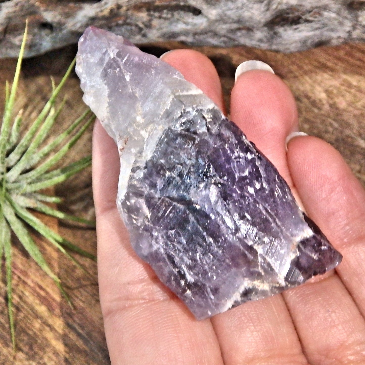 Gorgeous Deep Purple Auralite-23 Point From Ontario, Canada - Earth Family Crystals