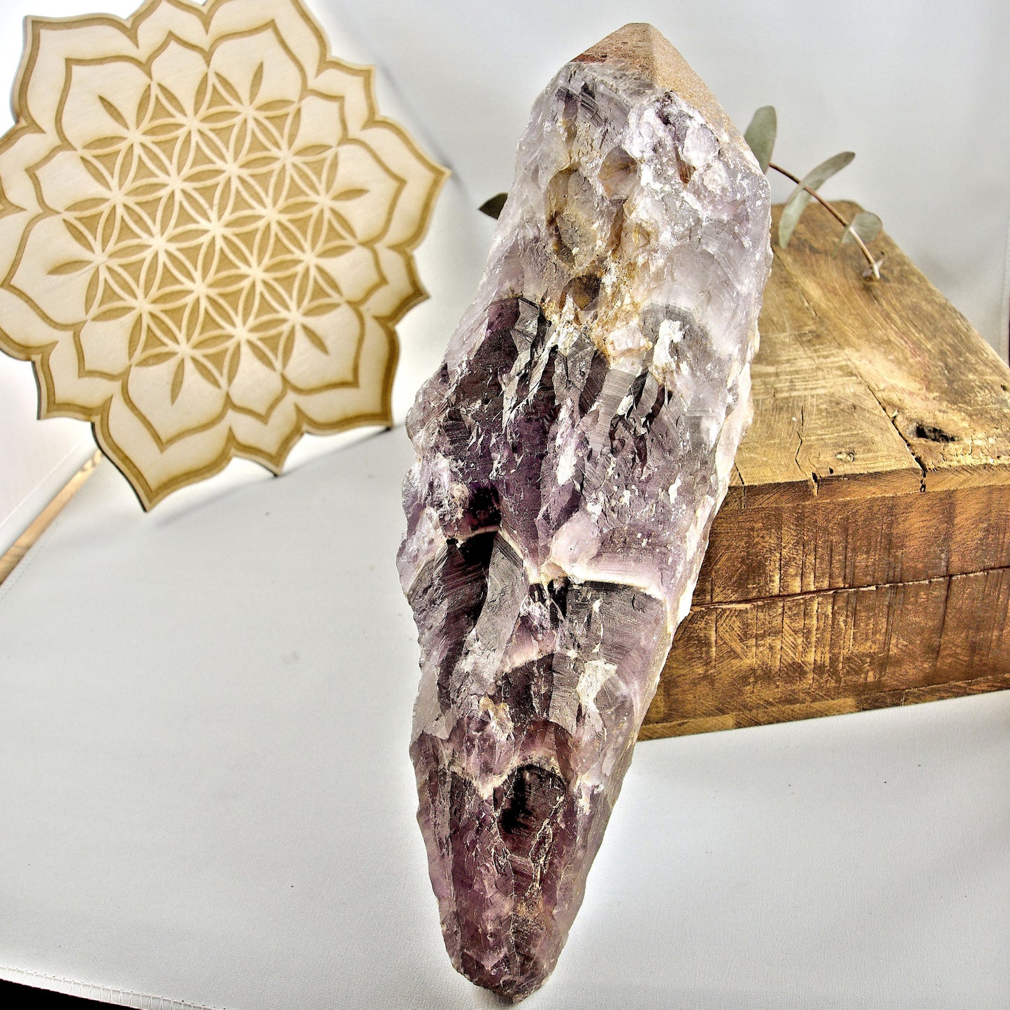 Incredible XXL Long & Powerful 1.5 KG ~Complete Genuine Canadian Auralite-23 Point With Hematite Druzy Capped Tip