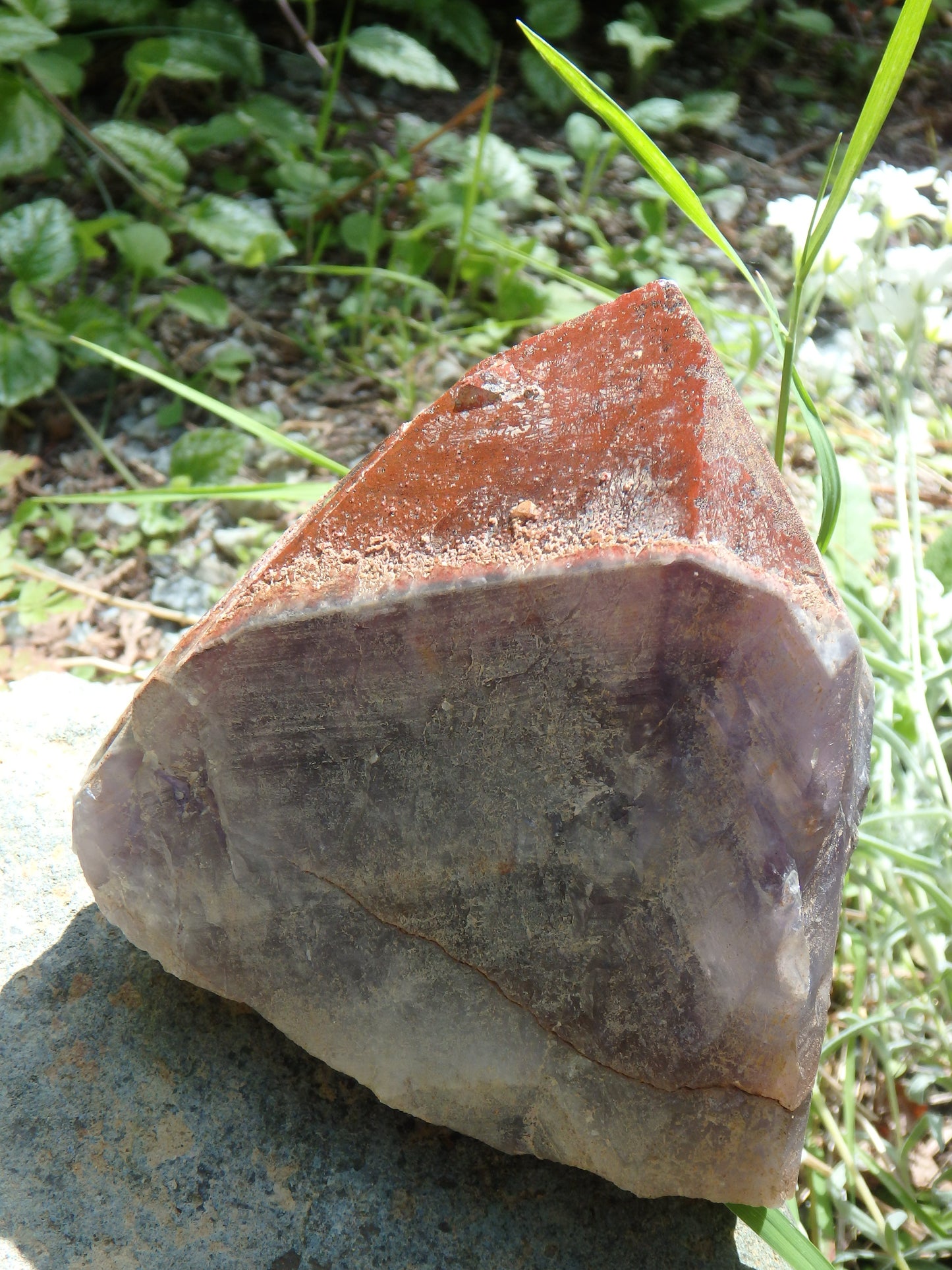 Incredible Red Mountain Large Auralite-23 Reiki Stone Standing Specimen With Record Keepers From Canada - Metiz Tier Price