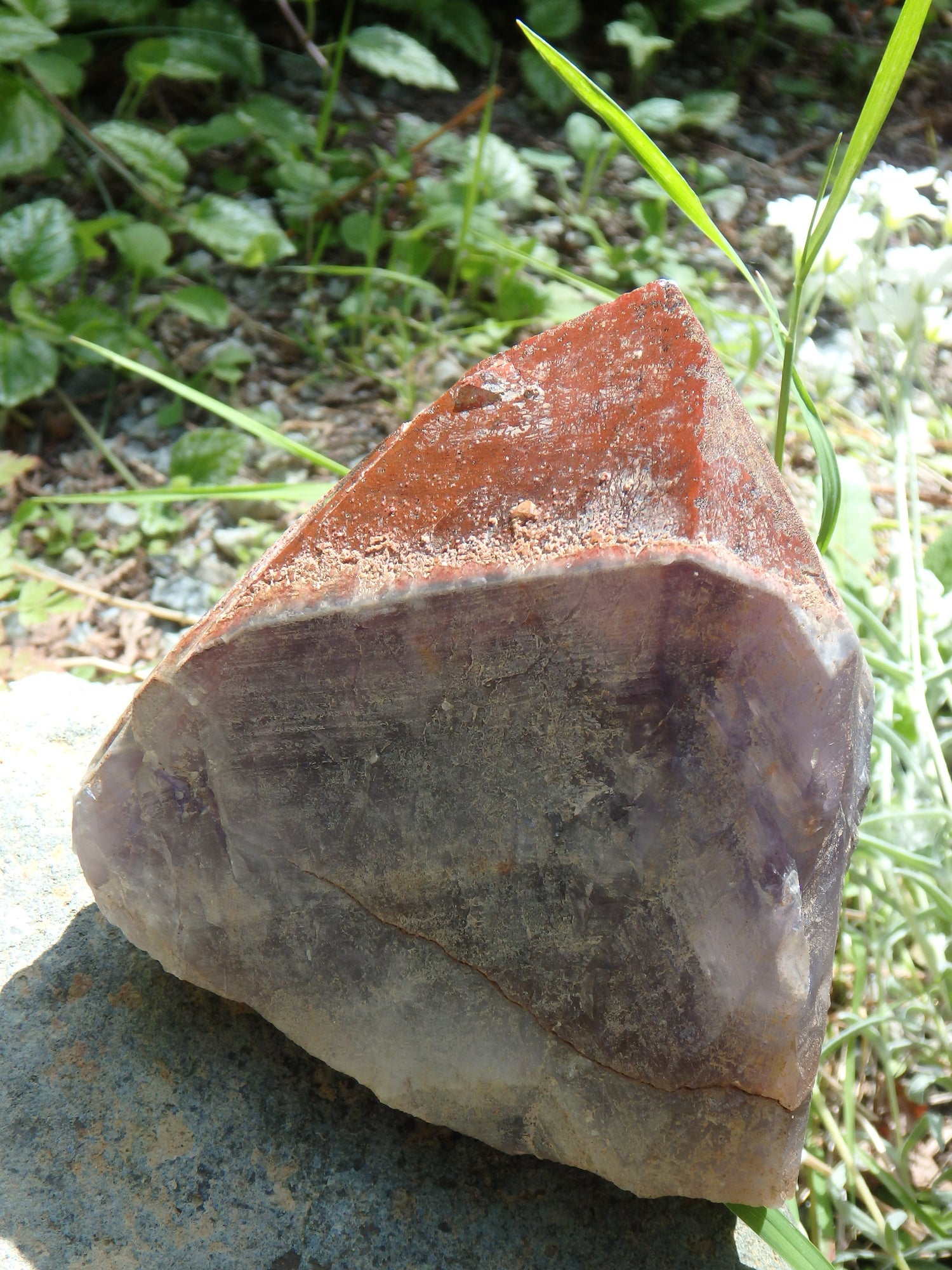 Incredible Red Mountain Large Auralite-23 Reiki Stone Standing Specimen With Record Keepers From Canada - Metiz Tier Price