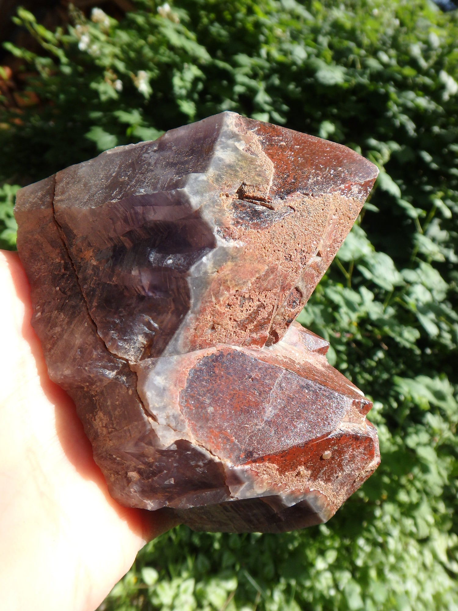 Incredible Red Mountain Large Auralite-23 Reiki Stone Standing Specimen With Record Keepers From Canada - Metiz Tier Price