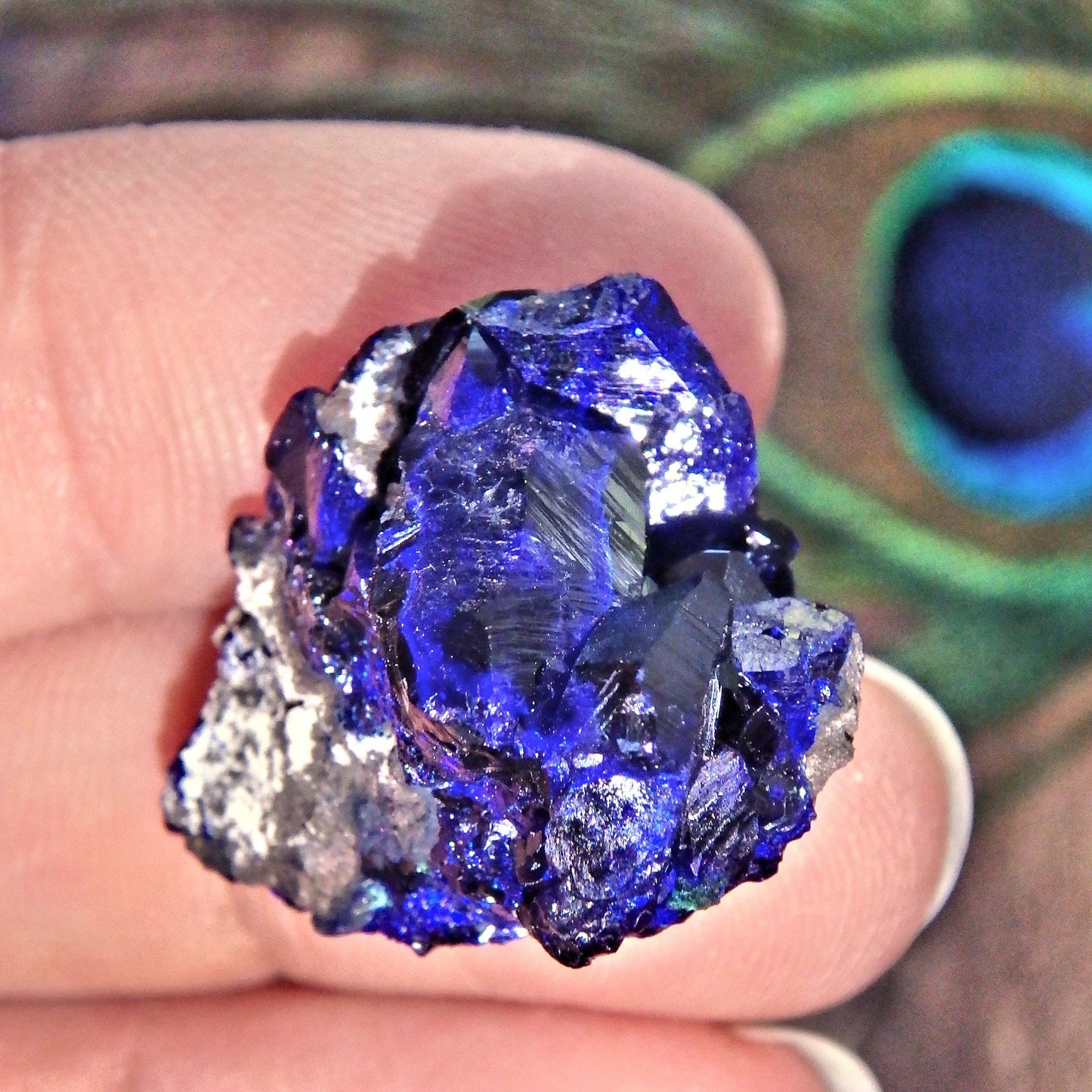  Deep Cobalt Blue Crystallized Azurite Dainty Collectors Specimen From Mexico
