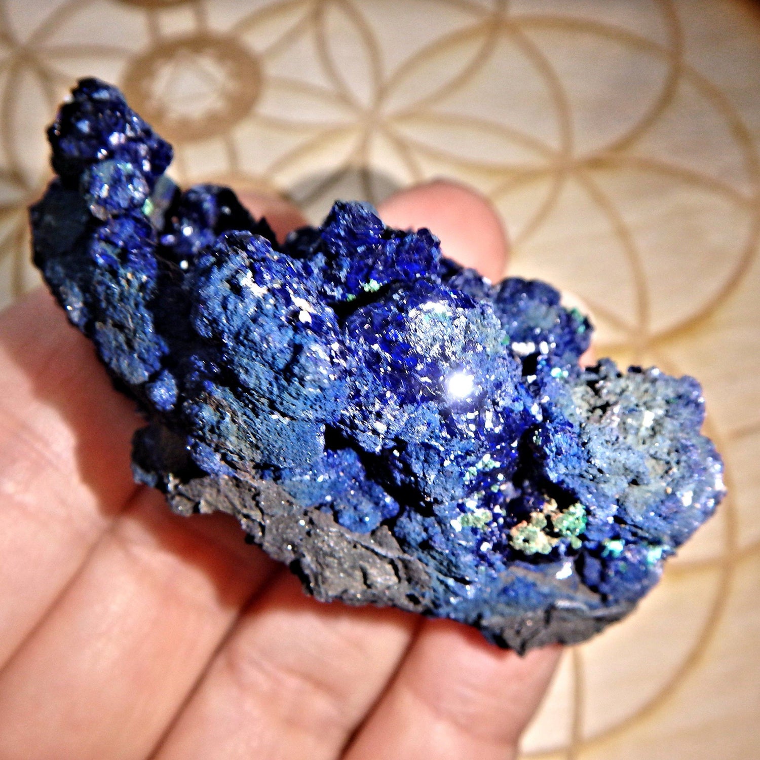  Deep Cobalt Blue Azurite Specimen from Morenci Mine, Arizona