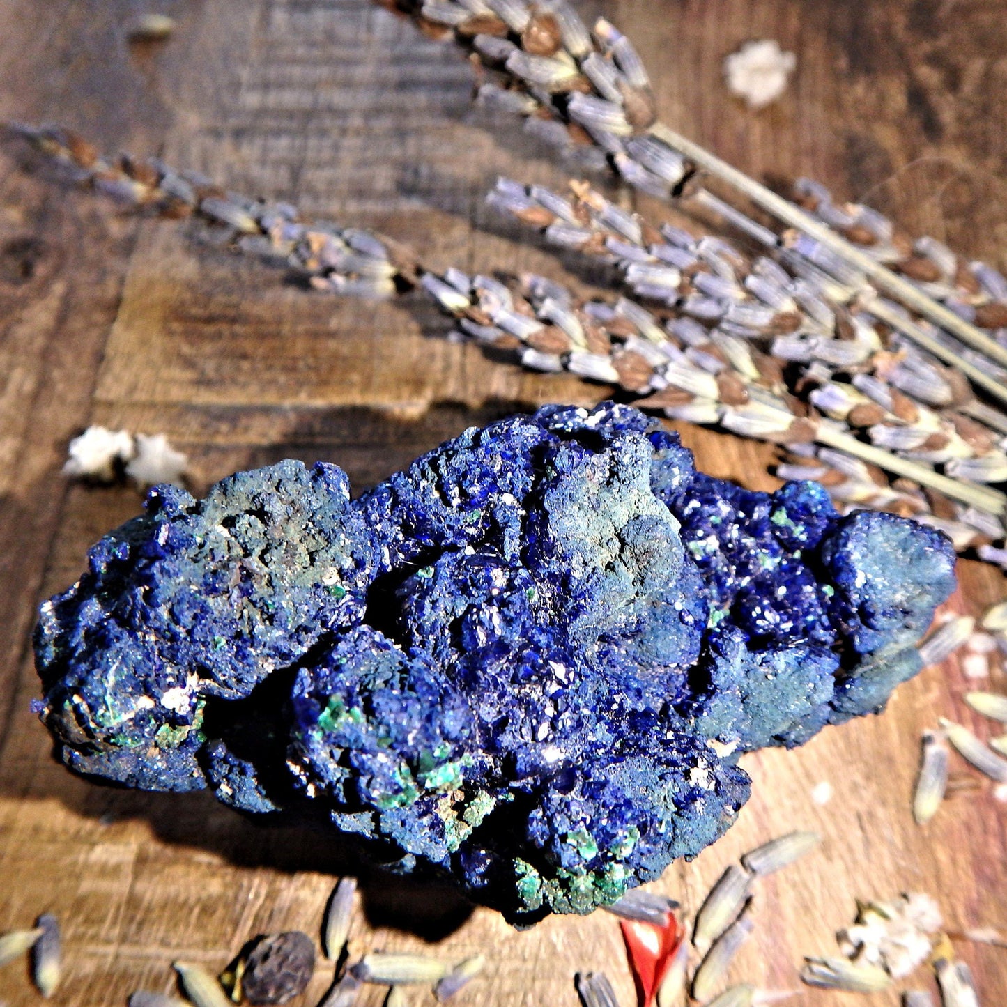  Deep Cobalt Blue Azurite Specimen from Morenci Mine, Arizona