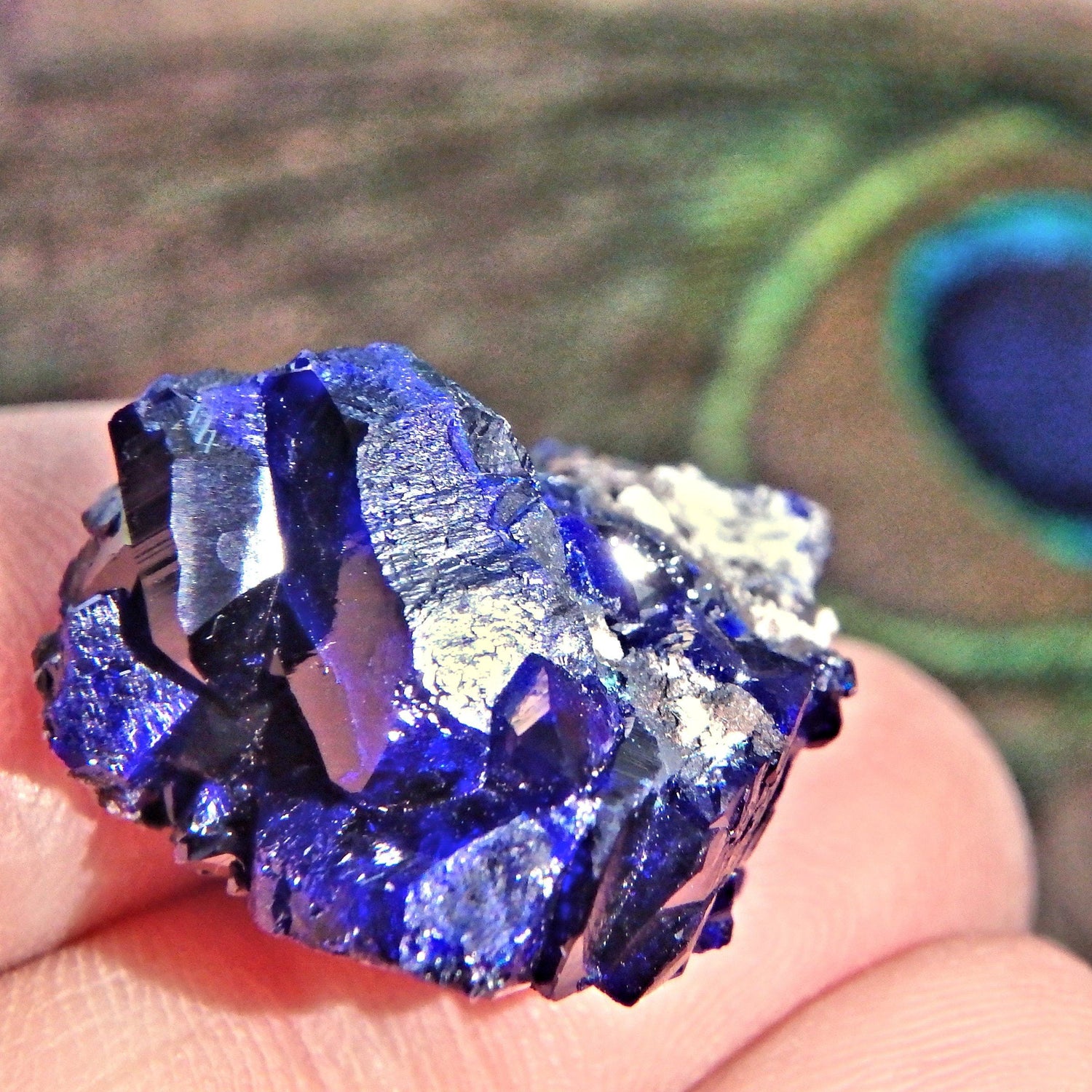  Deep Cobalt Blue Crystallized Azurite Dainty Collectors Specimen From Mexico