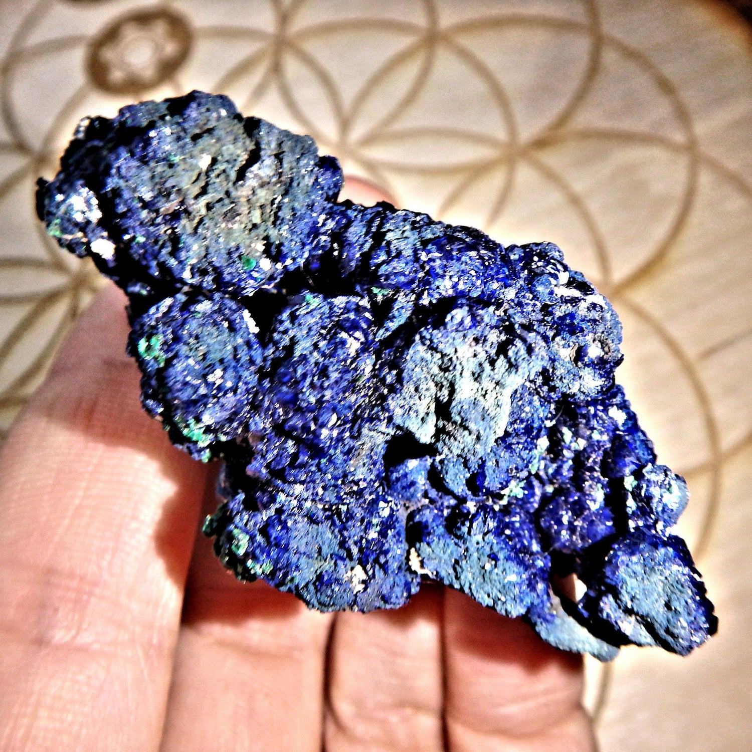  Deep Cobalt Blue Azurite Specimen from Morenci Mine, Arizona