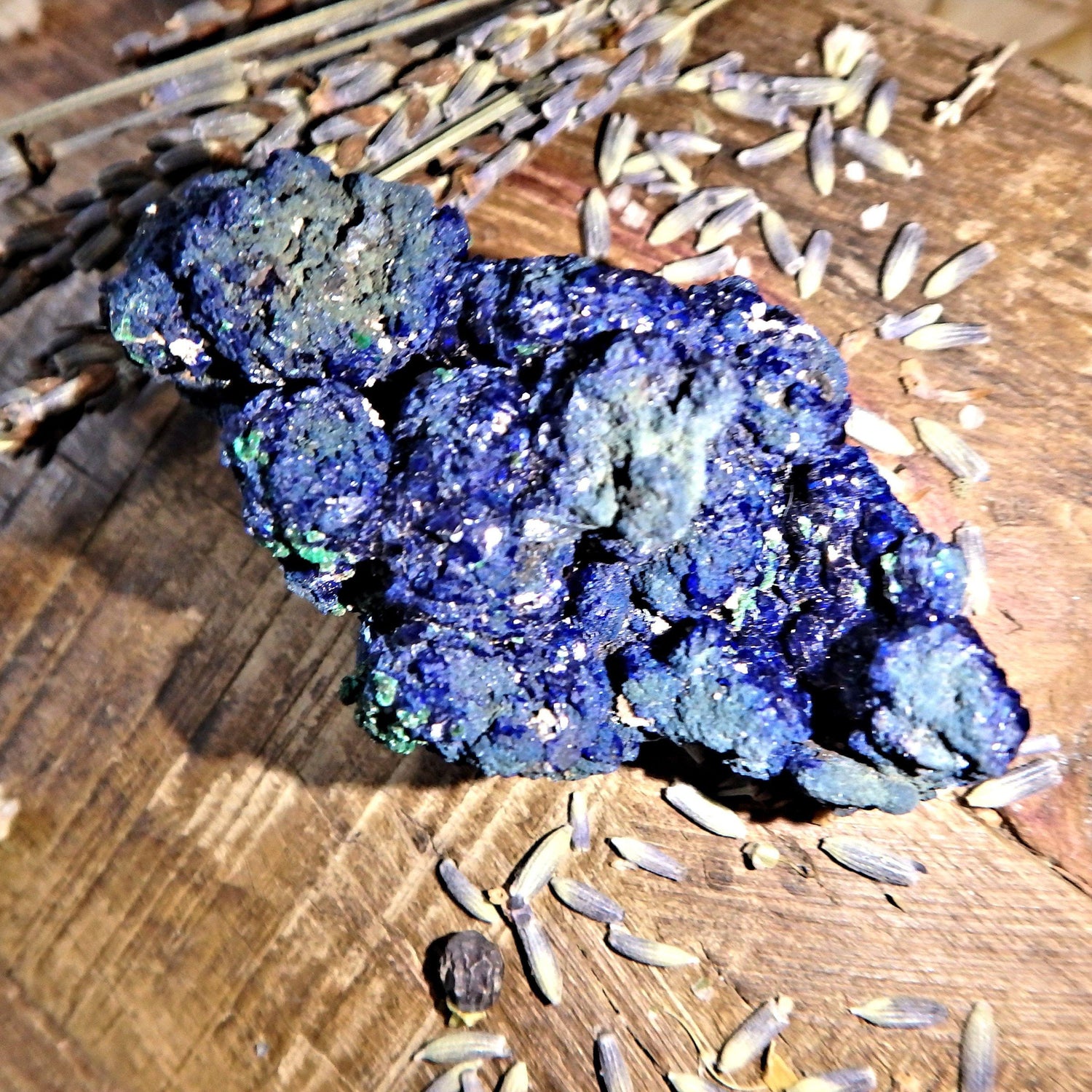  Deep Cobalt Blue Azurite Specimen from Morenci Mine, Arizona