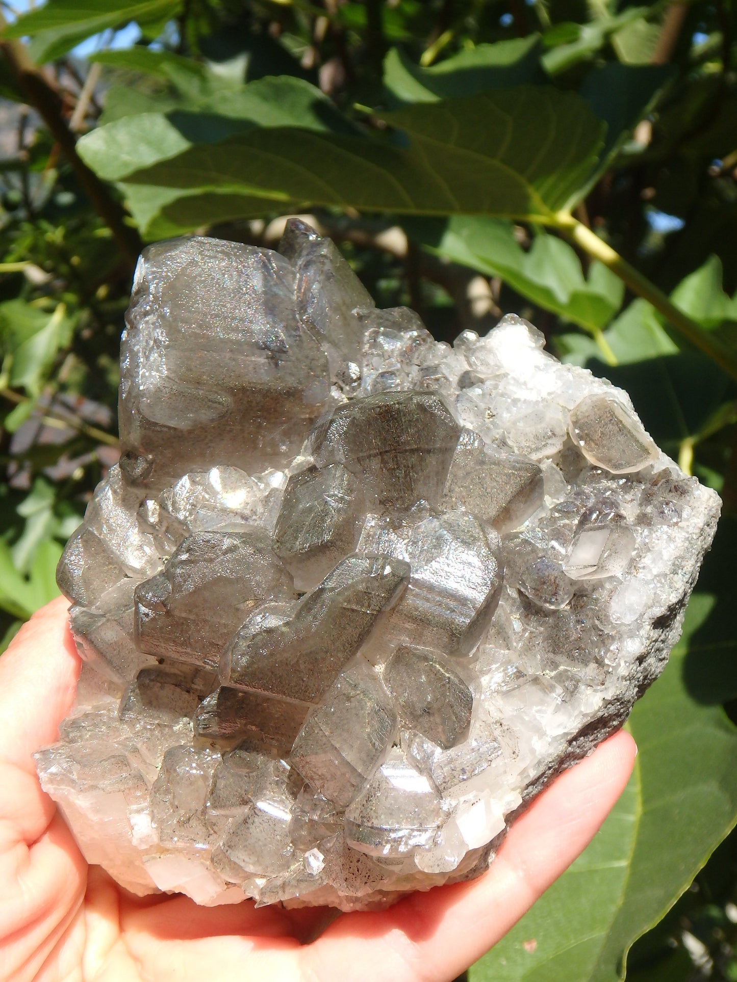 Large Barite Loaded With Rainbows Cluster Specimen - Metiz Tier Price