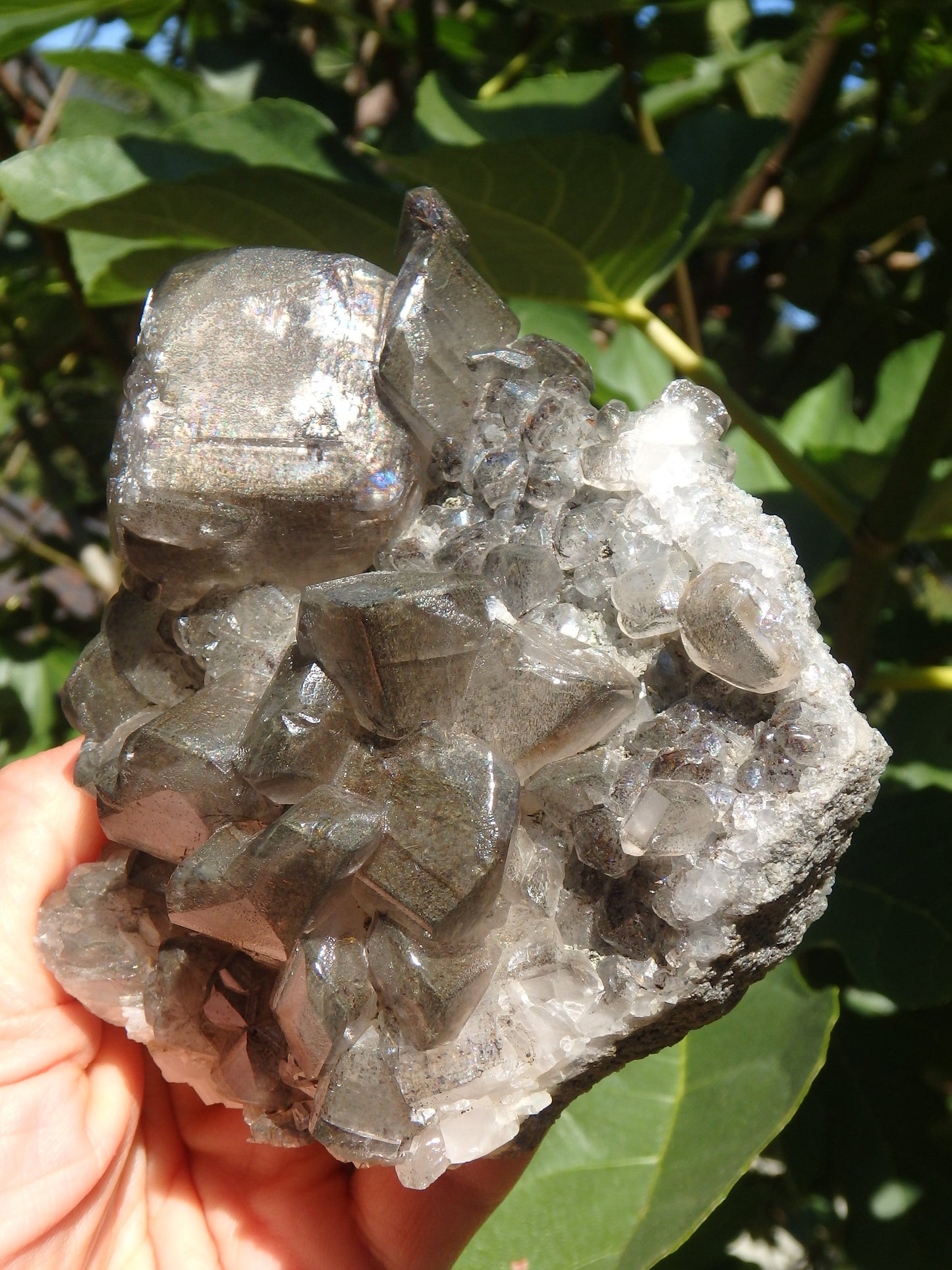 Large Barite Loaded With Rainbows Cluster Specimen - Metiz Tier Price