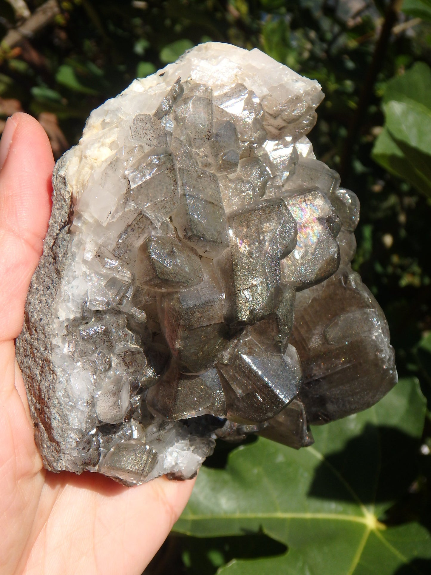 Large Barite Loaded With Rainbows Cluster Specimen - Metiz Tier Price