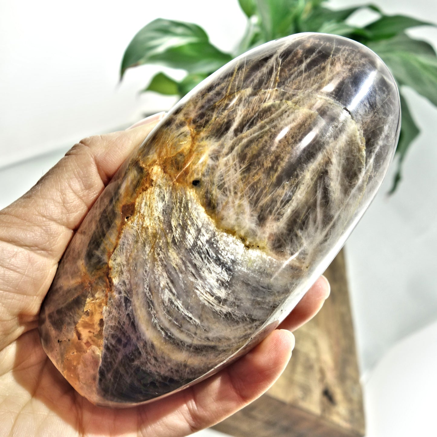 Mysterious Sheen Large Black Moonstone Standing Display Specimen - Earth Family Crystals