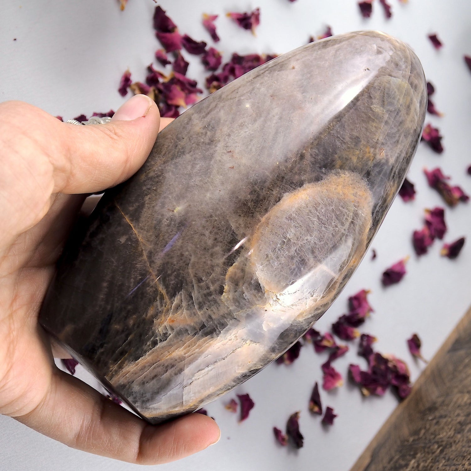 Gorgeous Silver Sheen Large Black Moonstone Free Form Standing Display Specimen - Earth Family Crystals
