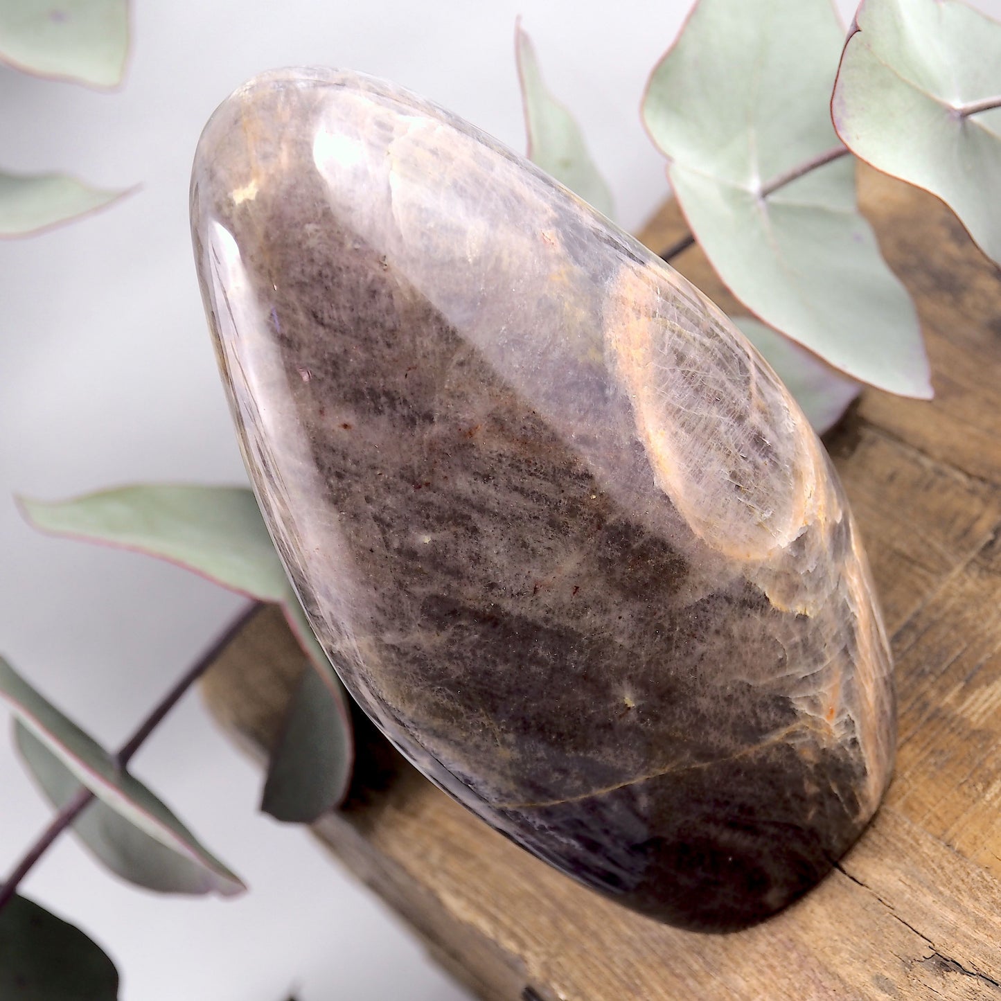 Gorgeous Silver Sheen Large Black Moonstone Free Form Standing Display Specimen - Earth Family Crystals