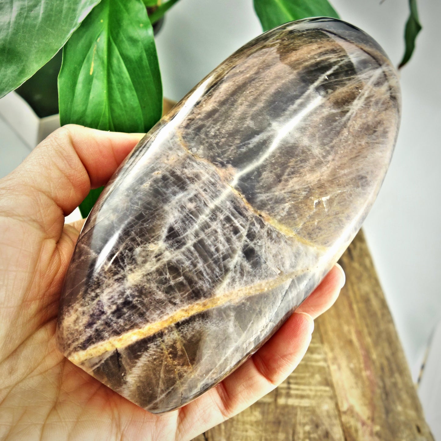 Mysterious Sheen Large Black Moonstone Standing Display Specimen - Earth Family Crystals