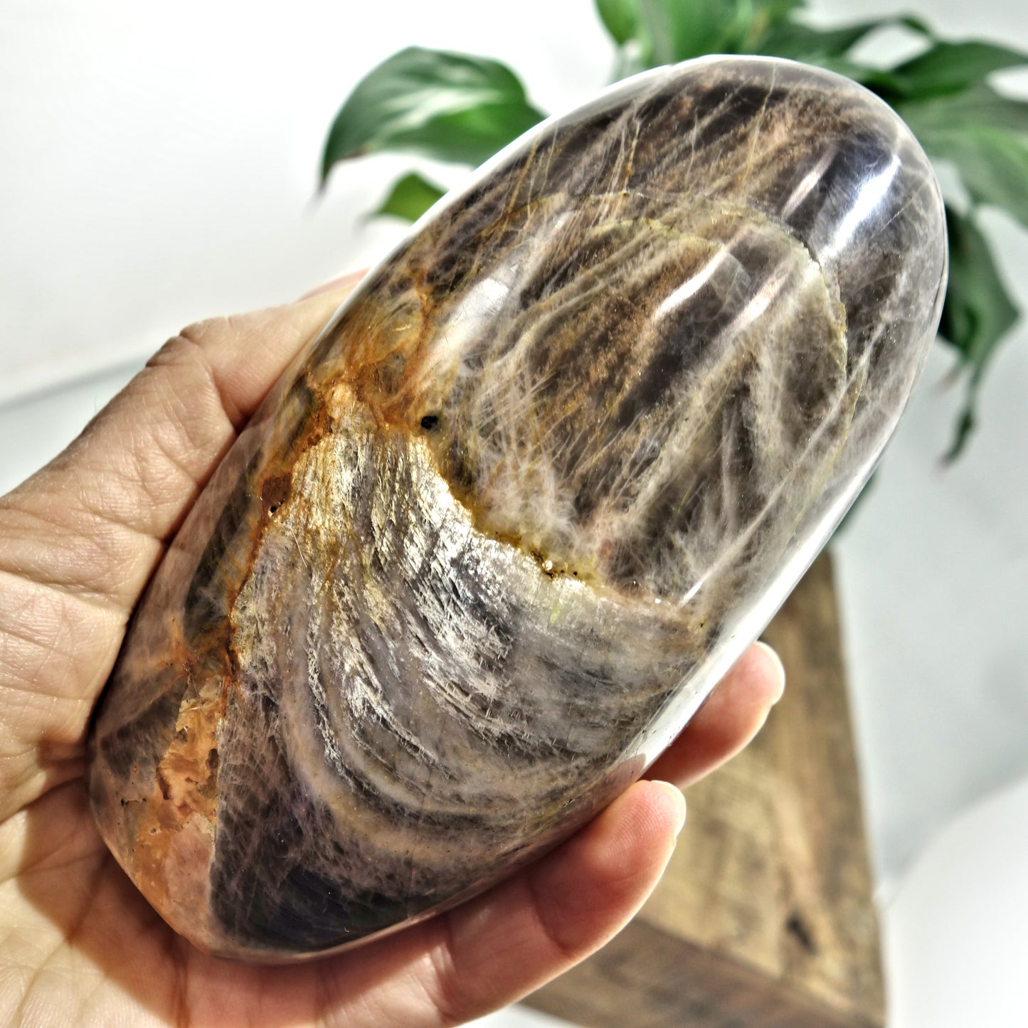 Mysterious Sheen Large Black Moonstone Standing Display Specimen - Earth Family Crystals