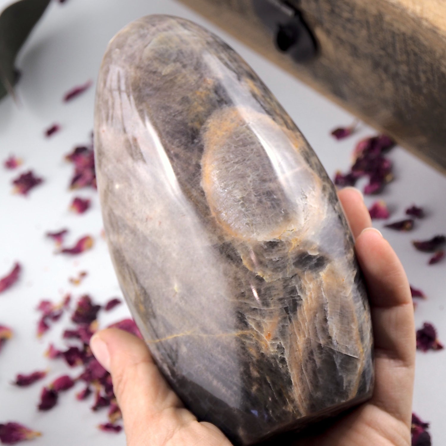 Gorgeous Silver Sheen Large Black Moonstone Free Form Standing Display Specimen - Earth Family Crystals