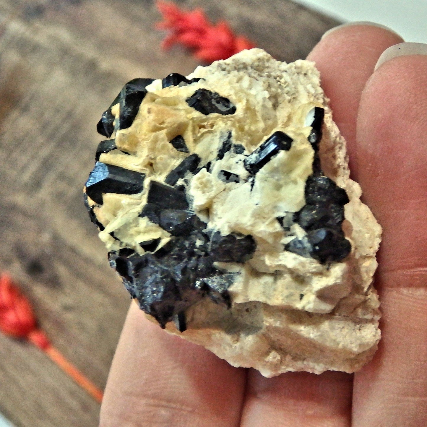 Blades of Black Tourmaline nestled in Feldspar Matrix From Brazil12