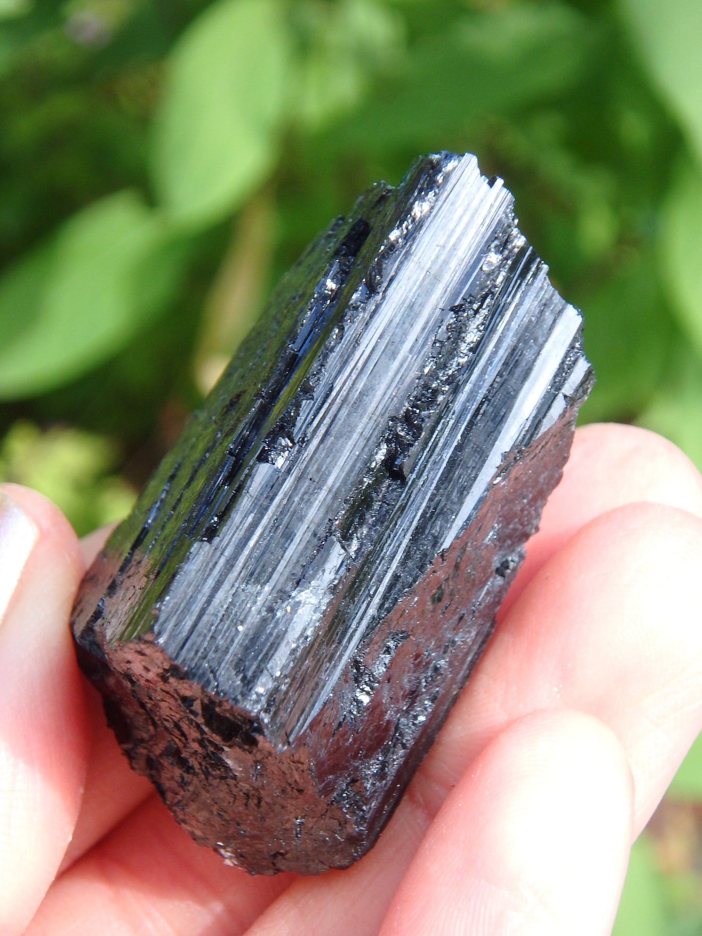 Protective Black Tourmaline Natural Specimen - Metiz Tier Price