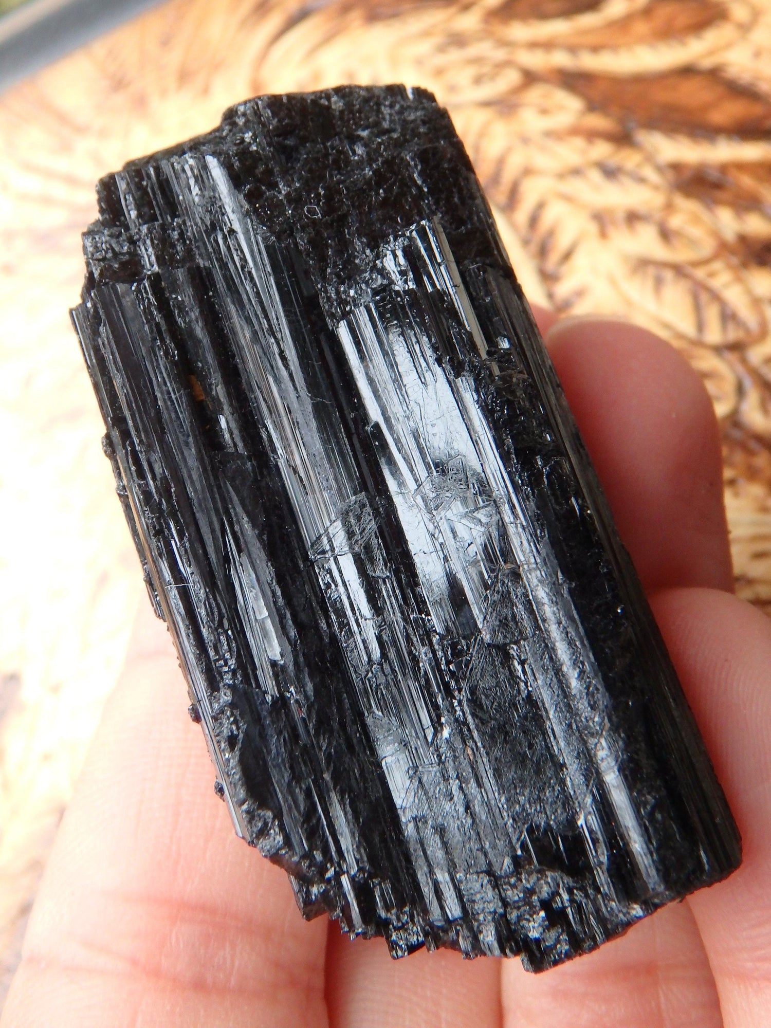  Chunky Raw Black Tourmaline Specimen 2