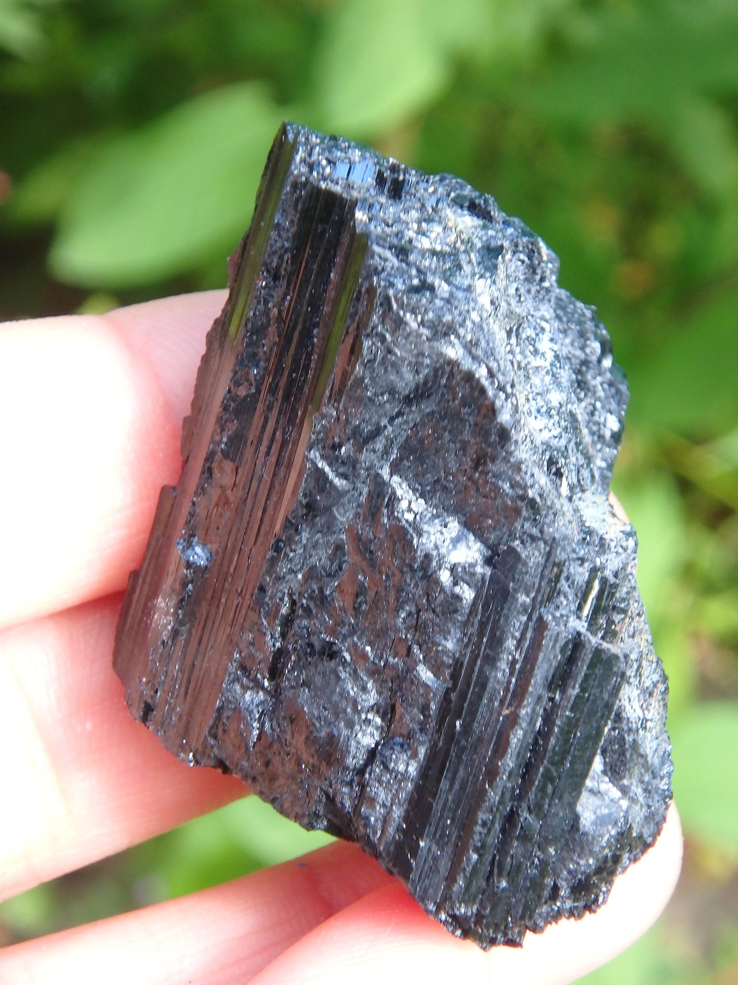 Protective Black Tourmaline Natural Specimen - Metiz Tier Price