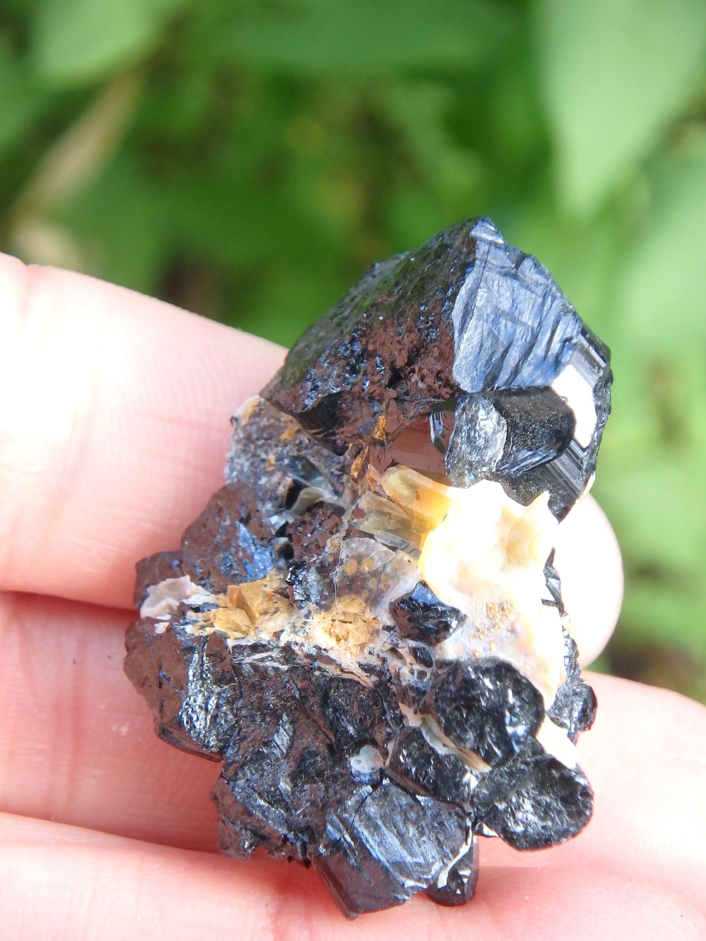 Grounding Black Tourmaline Nestled in Creamy Matrix From Brazil 2 - Earth Family Crystals