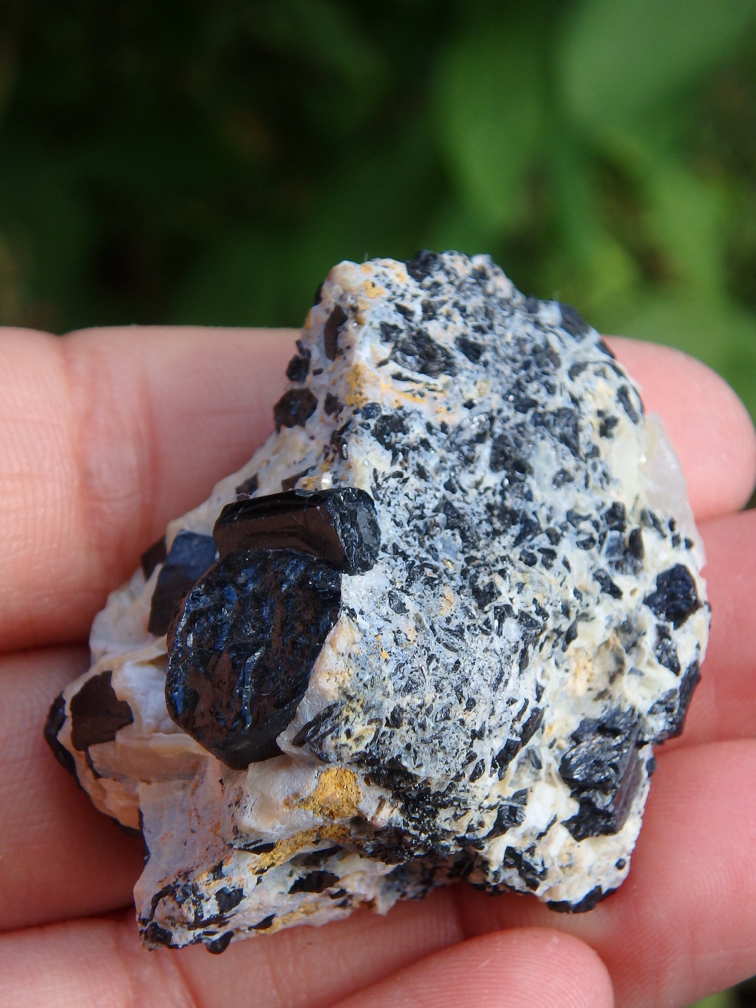 Grounding Black Tourmaline Nestled in Creamy Matrix From Brazil 1 - Earth Family Crystals
