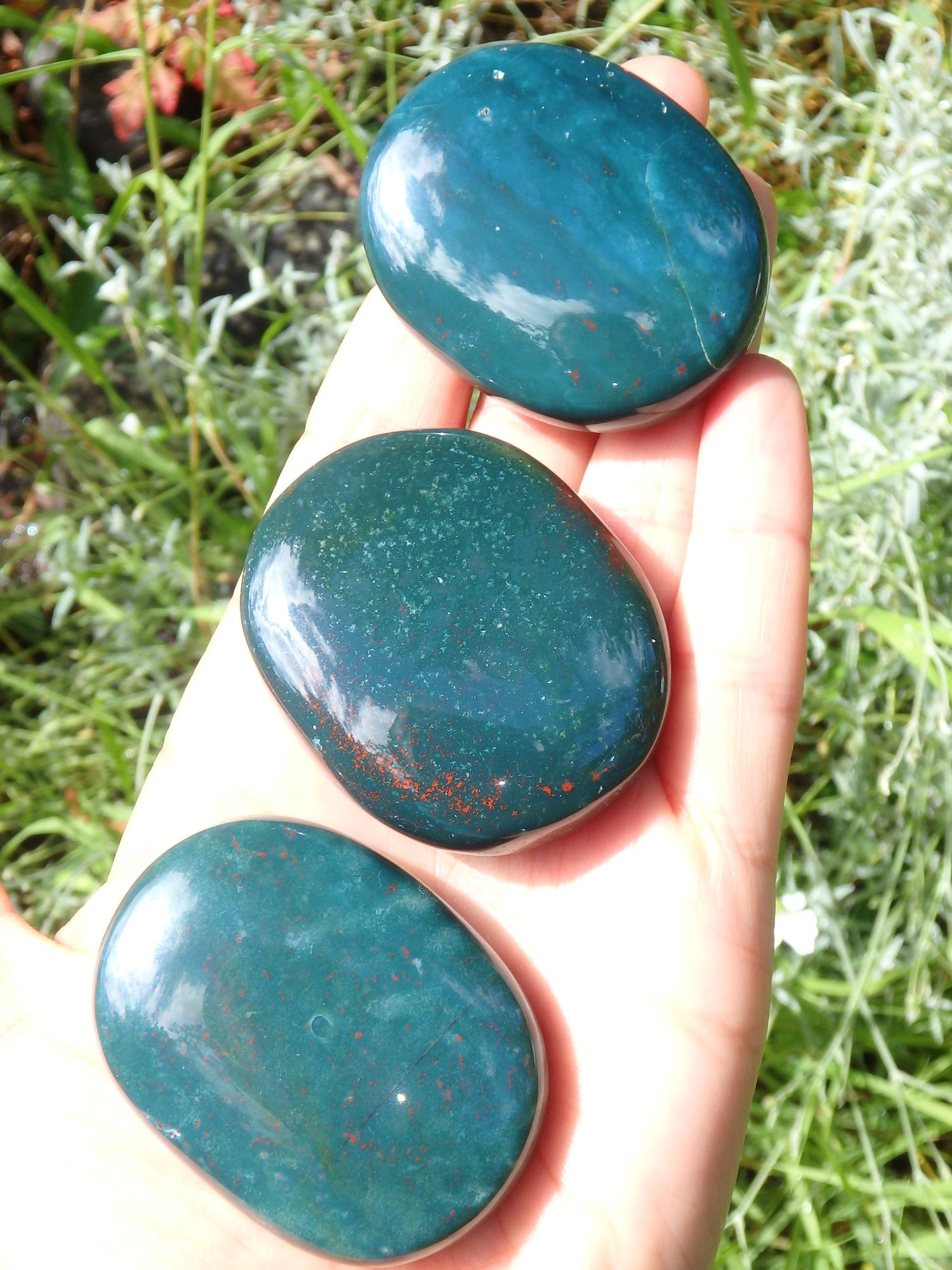 Shiny Bloodstone Polished Worry Stone (1) - Metiz Tier Price
