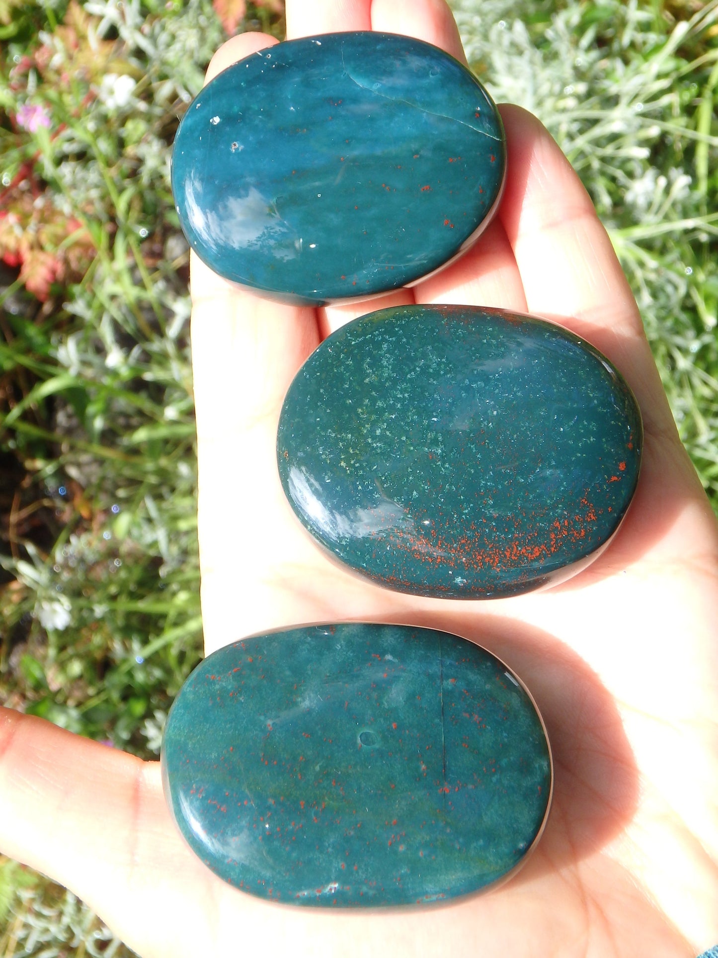 Shiny Bloodstone Polished Worry Stone (1) - Metiz Tier Price
