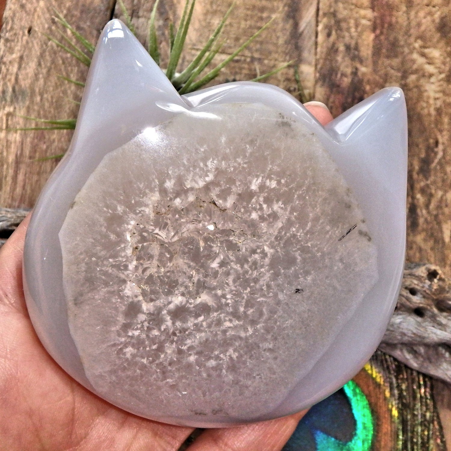 Gorgeous Druzy Geode & Blue Agate Precious Cat Head Carving 1 - Earth Family Crystals