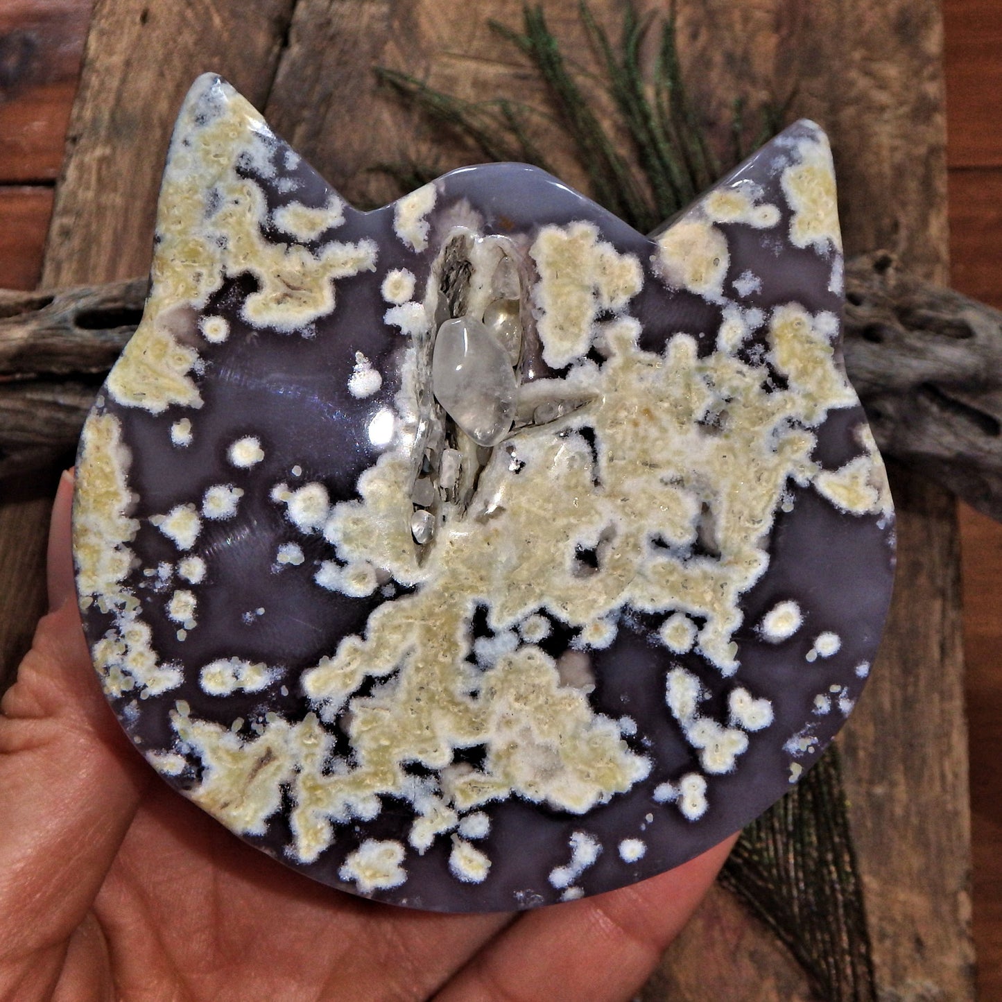 Gorgeous Druzy Geode & Blue Agate Precious Cat Head Carving 4 - Earth Family Crystals