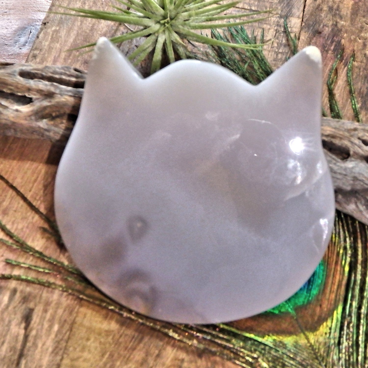 Gorgeous Druzy Geode & Blue Agate Precious Cat Head Carving 1 - Earth Family Crystals
