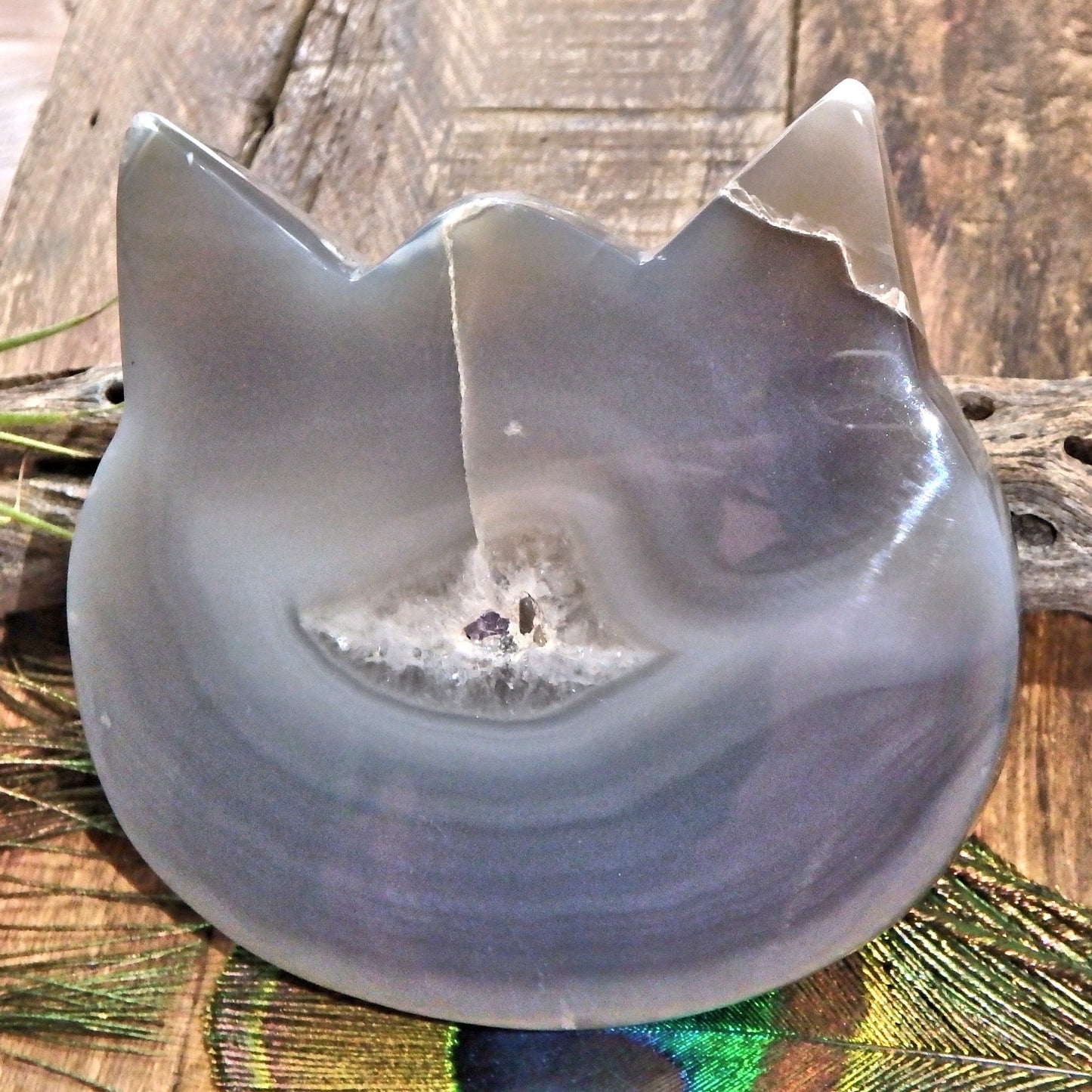 Gorgeous Druzy Geode & Blue Agate Precious Cat Head Carving 2 - Earth Family Crystals