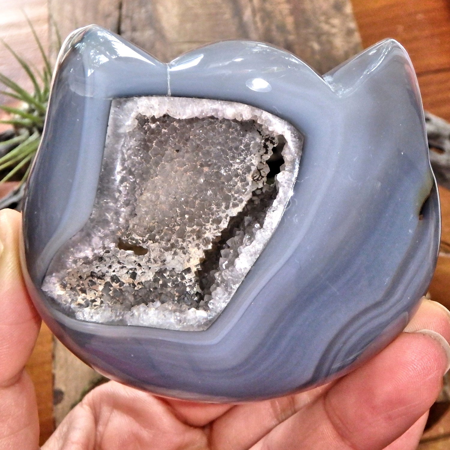 Gorgeous Druzy Geode & Blue Agate Precious Cat Head Carving 3 - Earth Family Crystals
