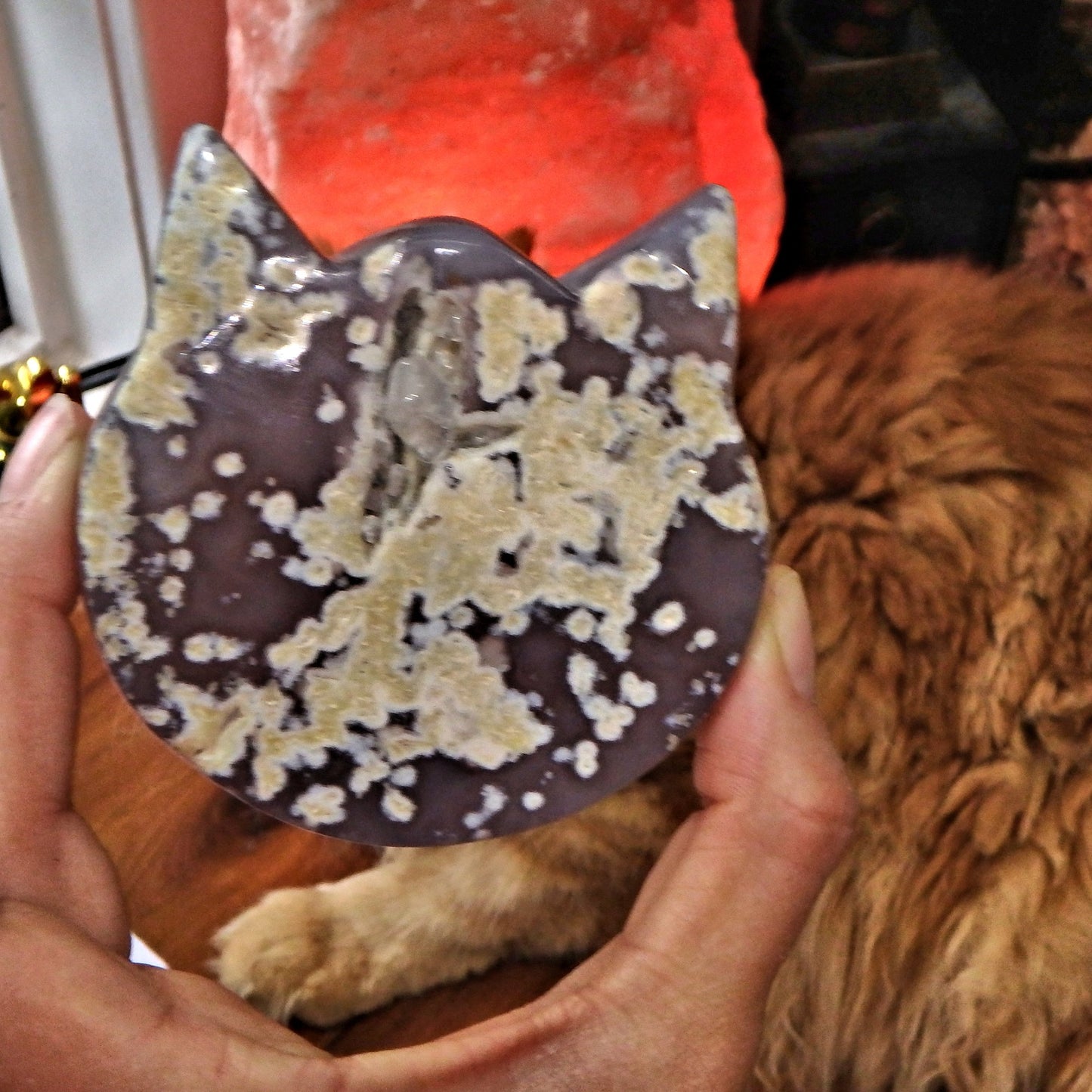 Gorgeous Druzy Geode & Blue Agate Precious Cat Head Carving 4 - Earth Family Crystals
