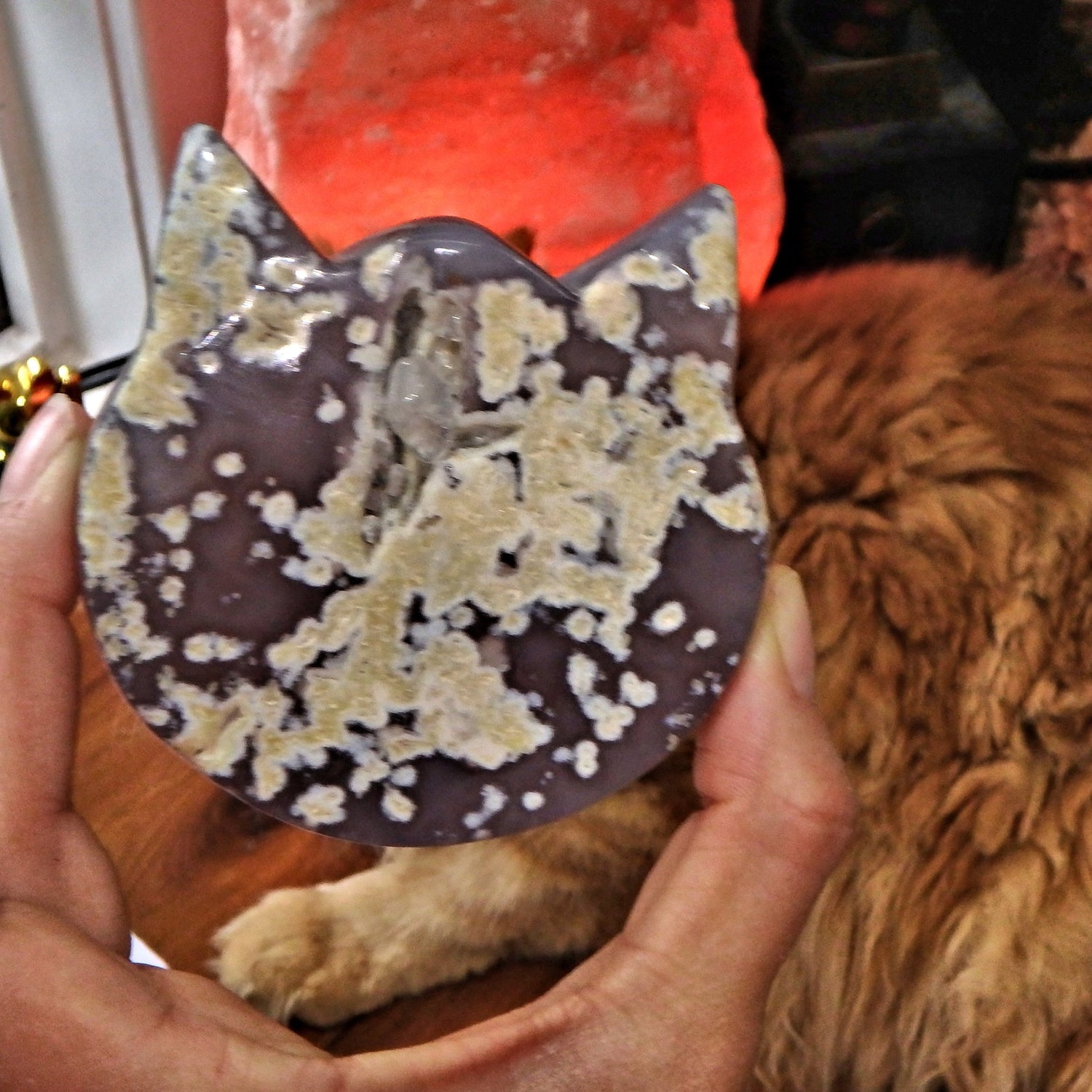 Gorgeous Druzy Geode & Blue Agate Precious Cat Head Carving 4 - Earth Family Crystals