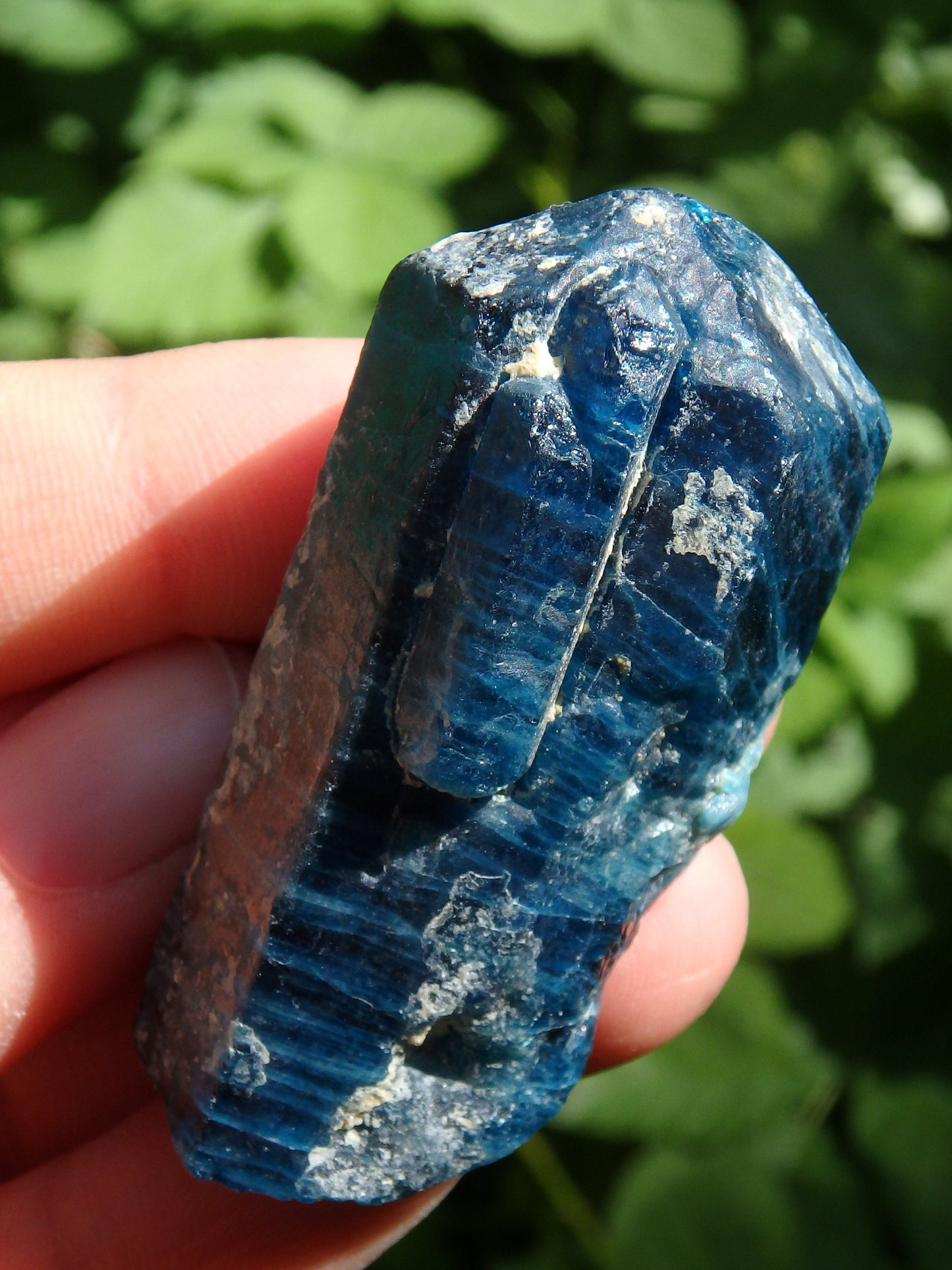  Deep Electric Blue Apatite Natural Point From Brazil 1