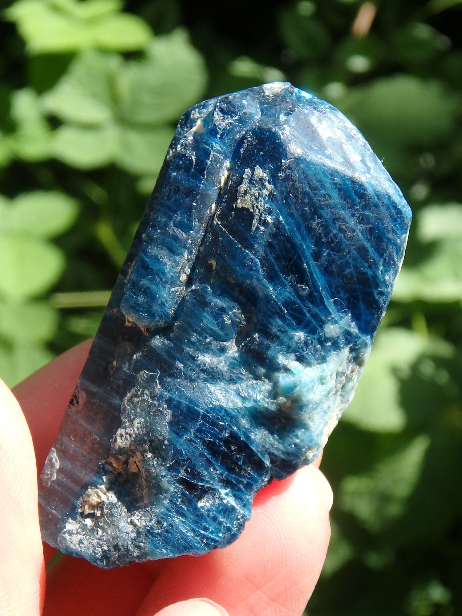 Deep Electric Blue Apatite Natural Point From Brazil 1