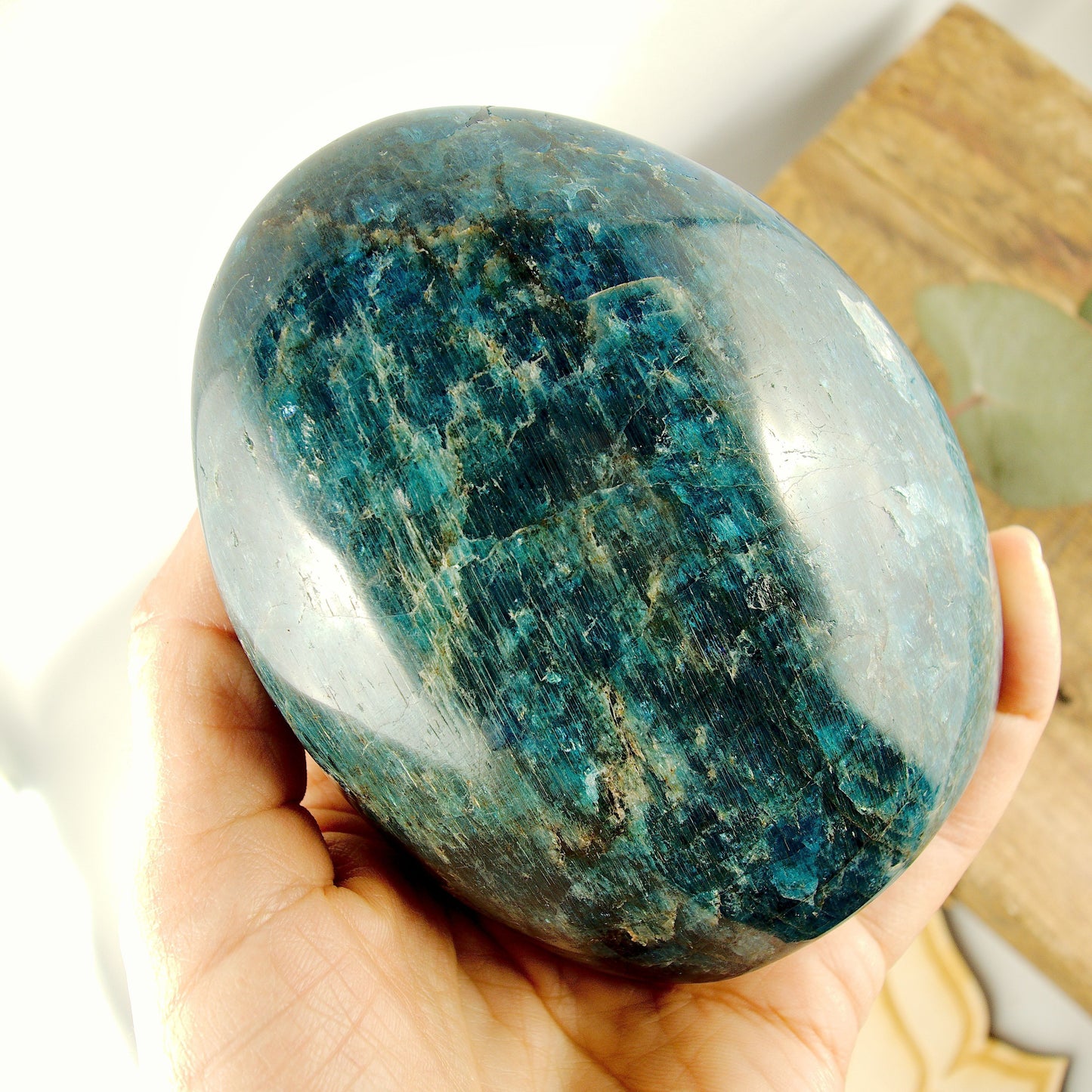 Incredible Gemmy Sheen Blue Apatite Standing Display Specimen - Earth Family Crystals