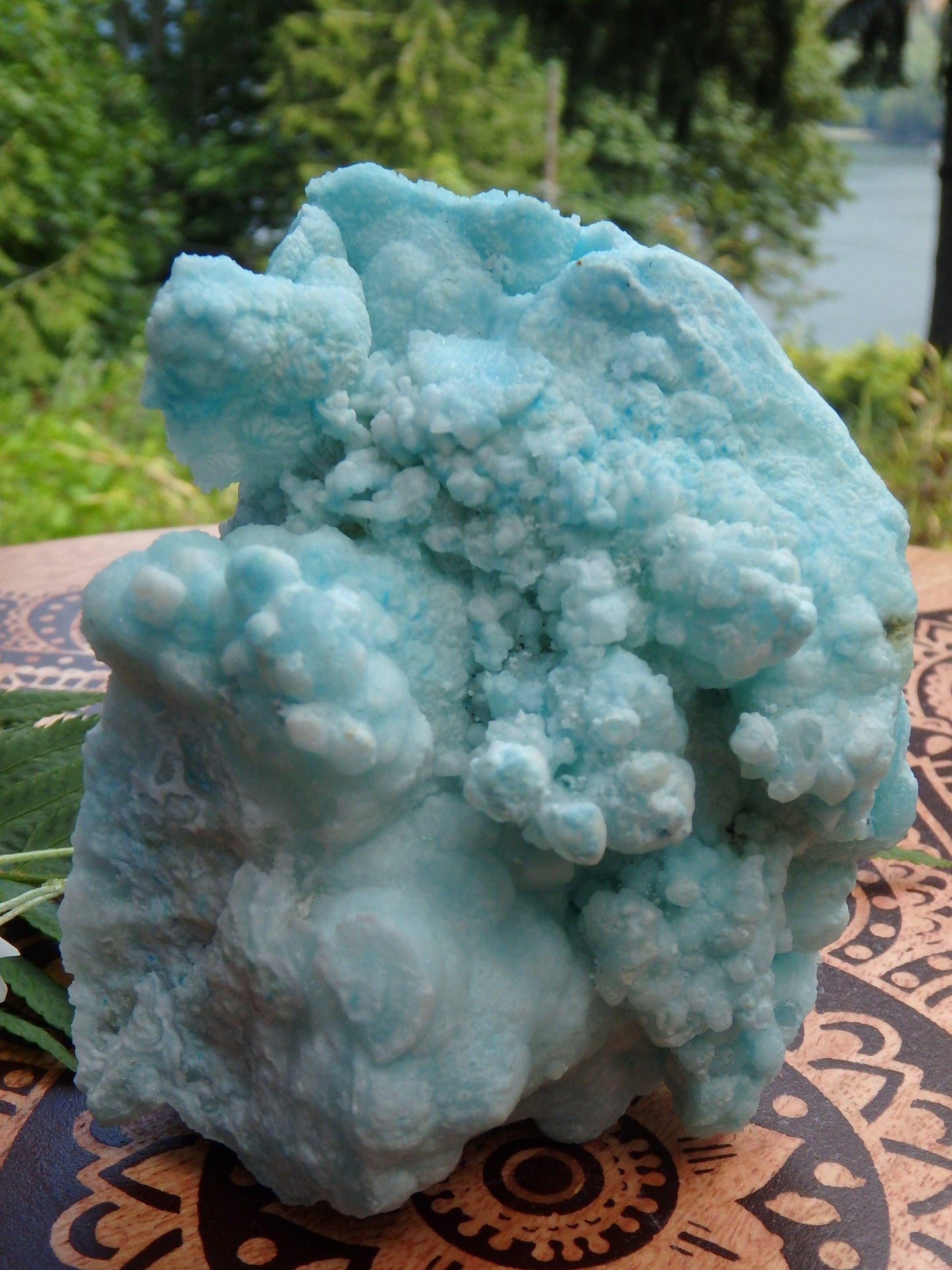  Cotton Candy Blue Aragonite Large Standing Specimen