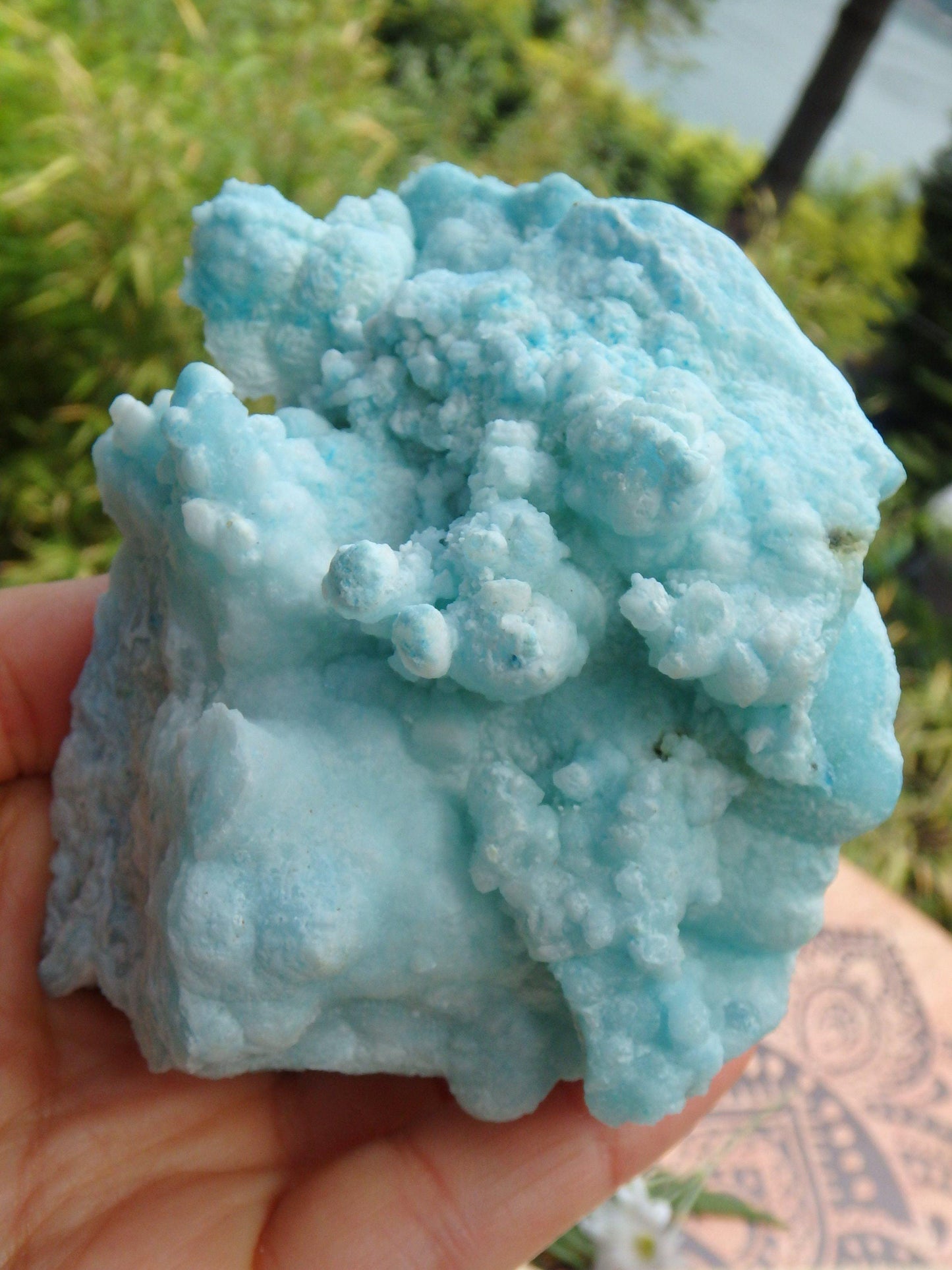  Cotton Candy Blue Aragonite Large Standing Specimen