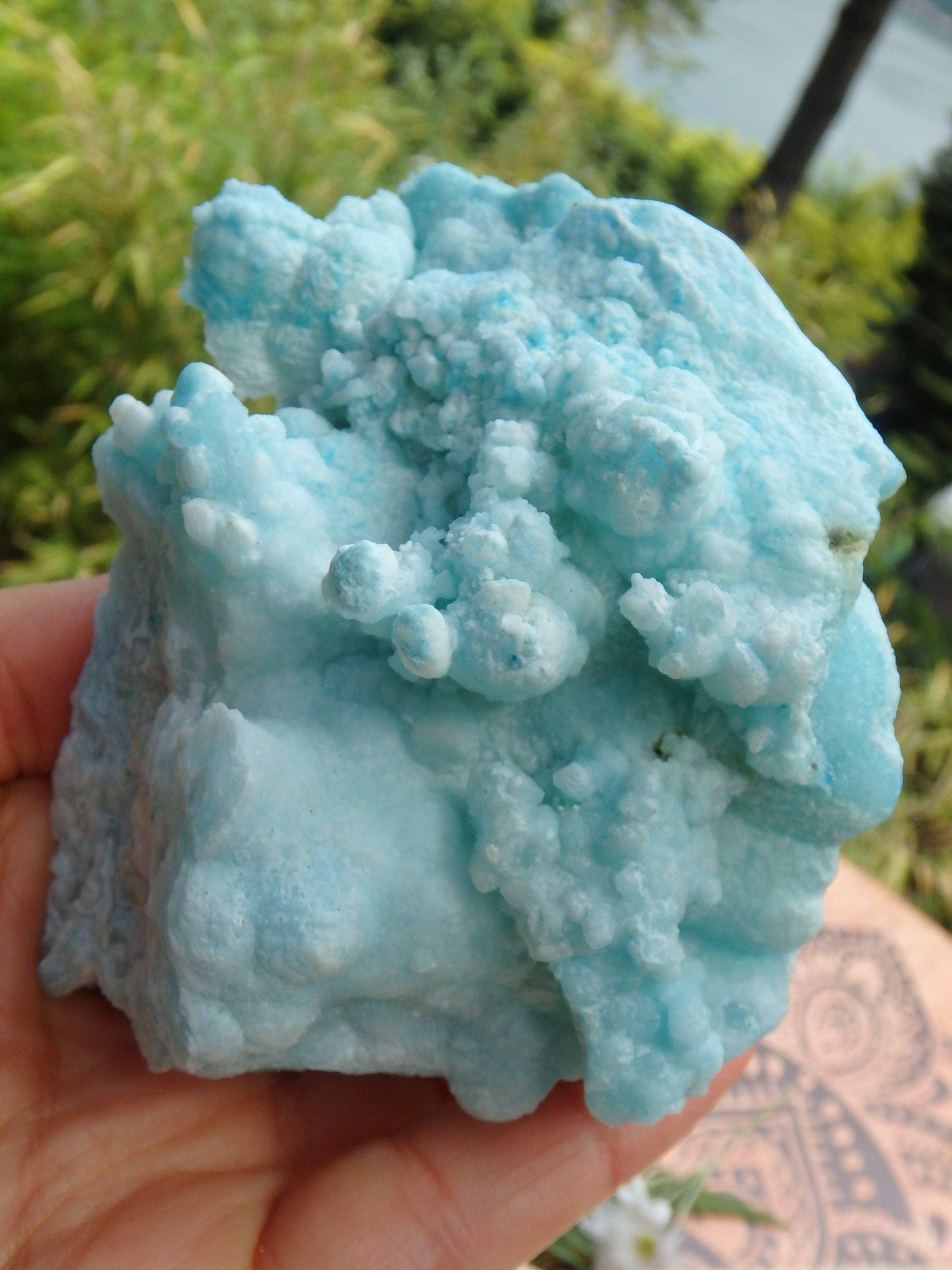  Cotton Candy Blue Aragonite Large Standing Specimen