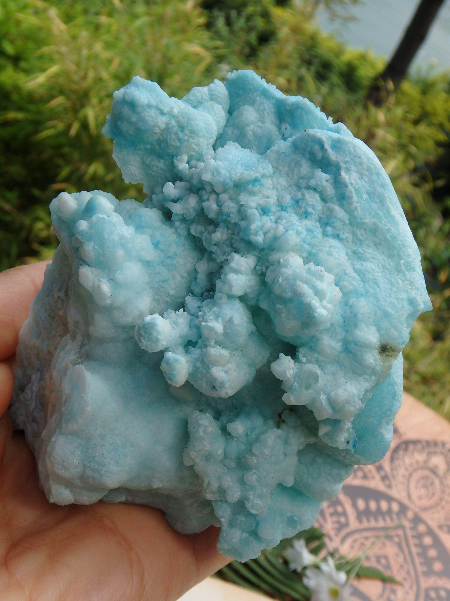  Cotton Candy Blue Aragonite Large Standing Specimen