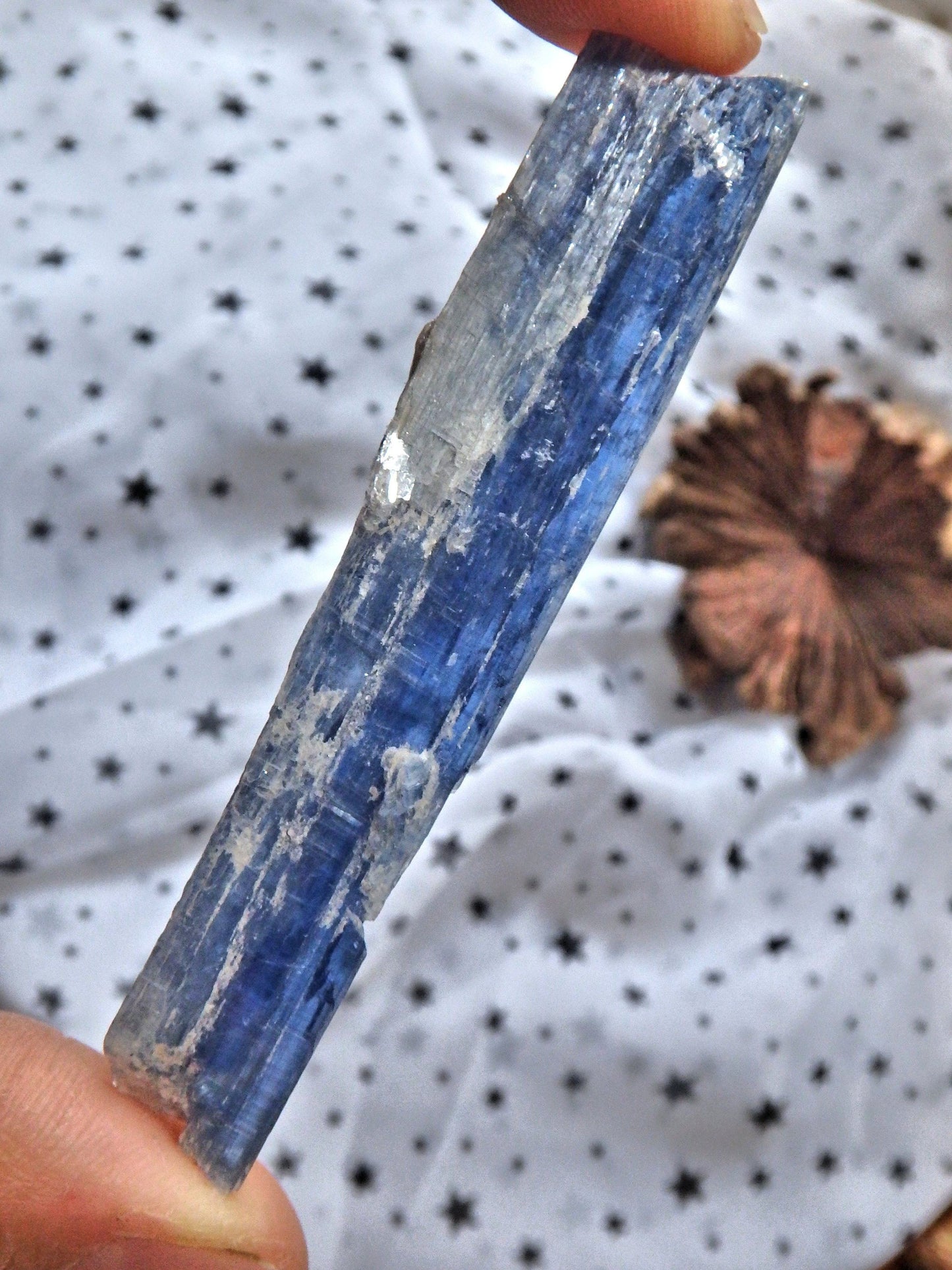  Blade of Gemmy Blue Kyanite From Brazil